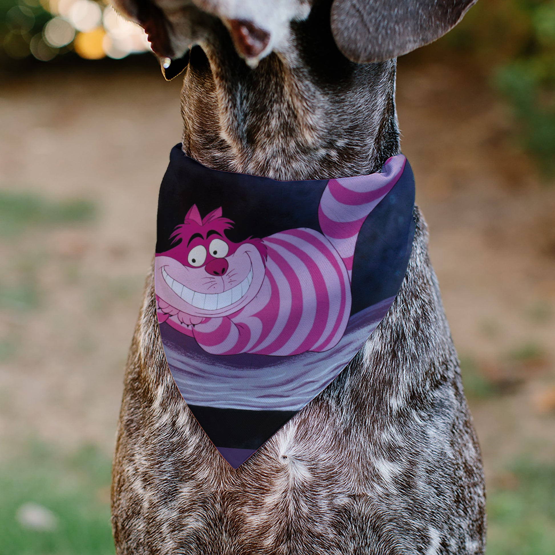 Pet Bandana - Alice in Wonderland Cheshire Cat Smiling Pose Pet Bandanas Disney