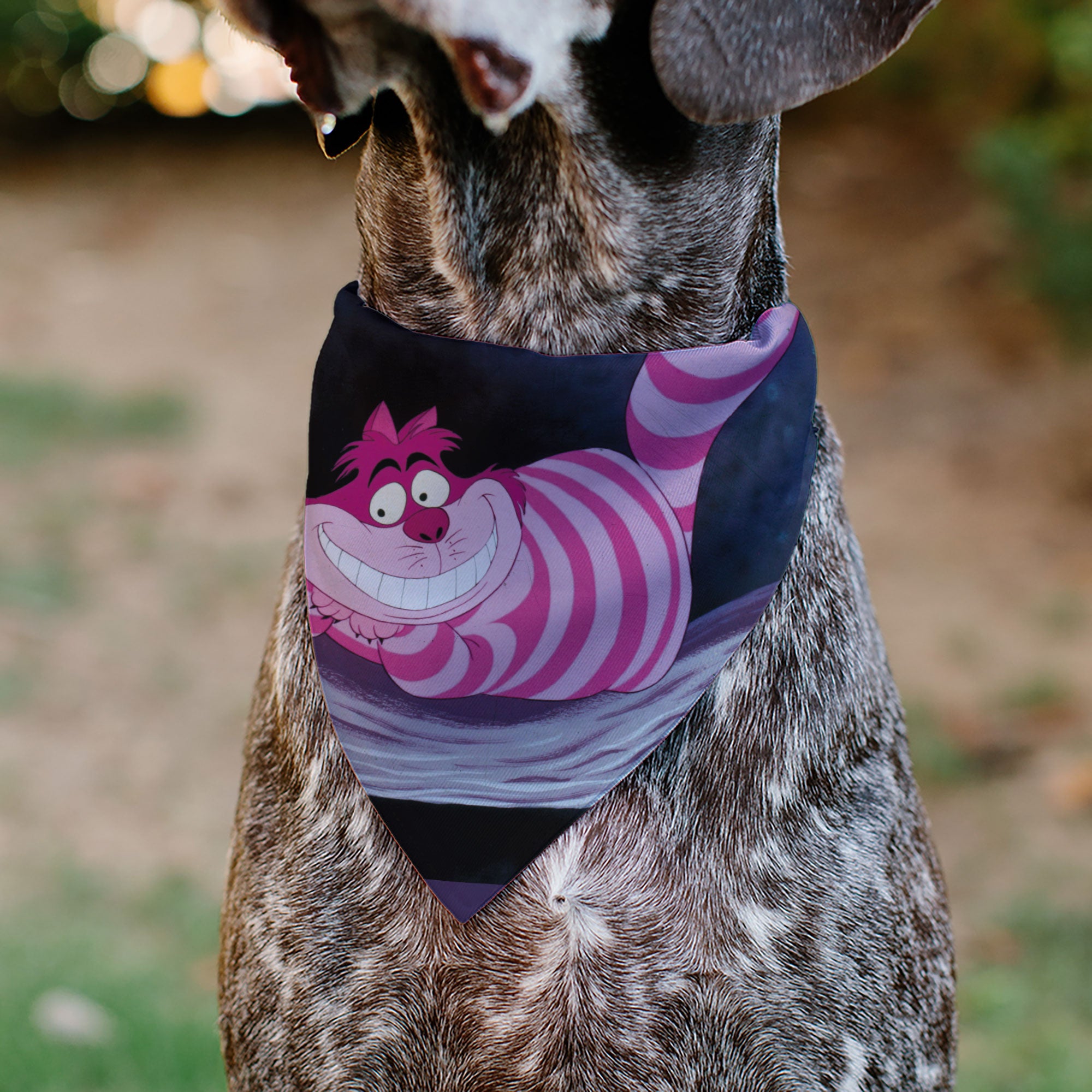 Pet Bandana - Alice in Wonderland Cheshire Cat Smiling Pose Pet Bandanas Disney