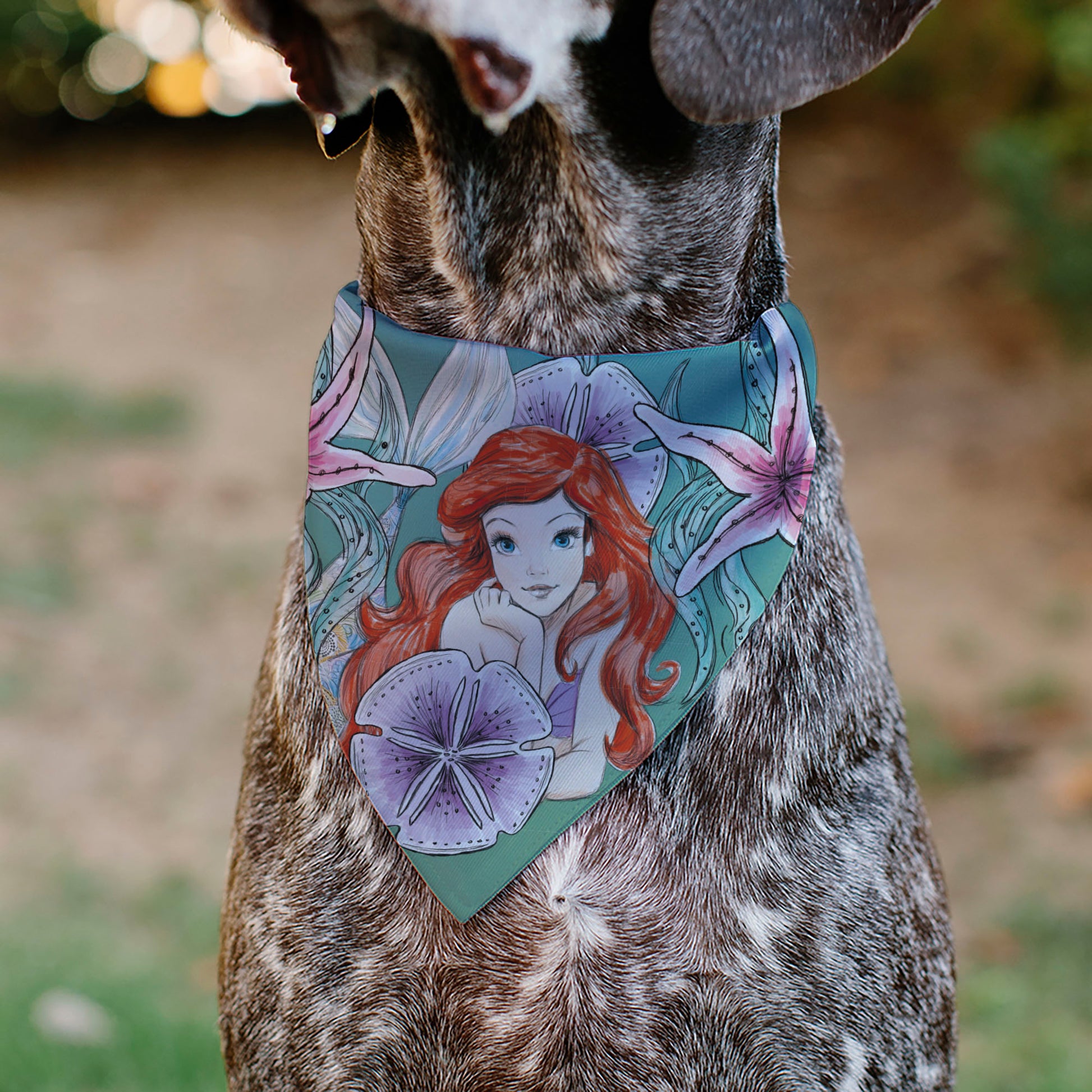 Pet Bandana - The Little Mermaid Ariel Pose and Shells Sketch Pet Bandanas Disney