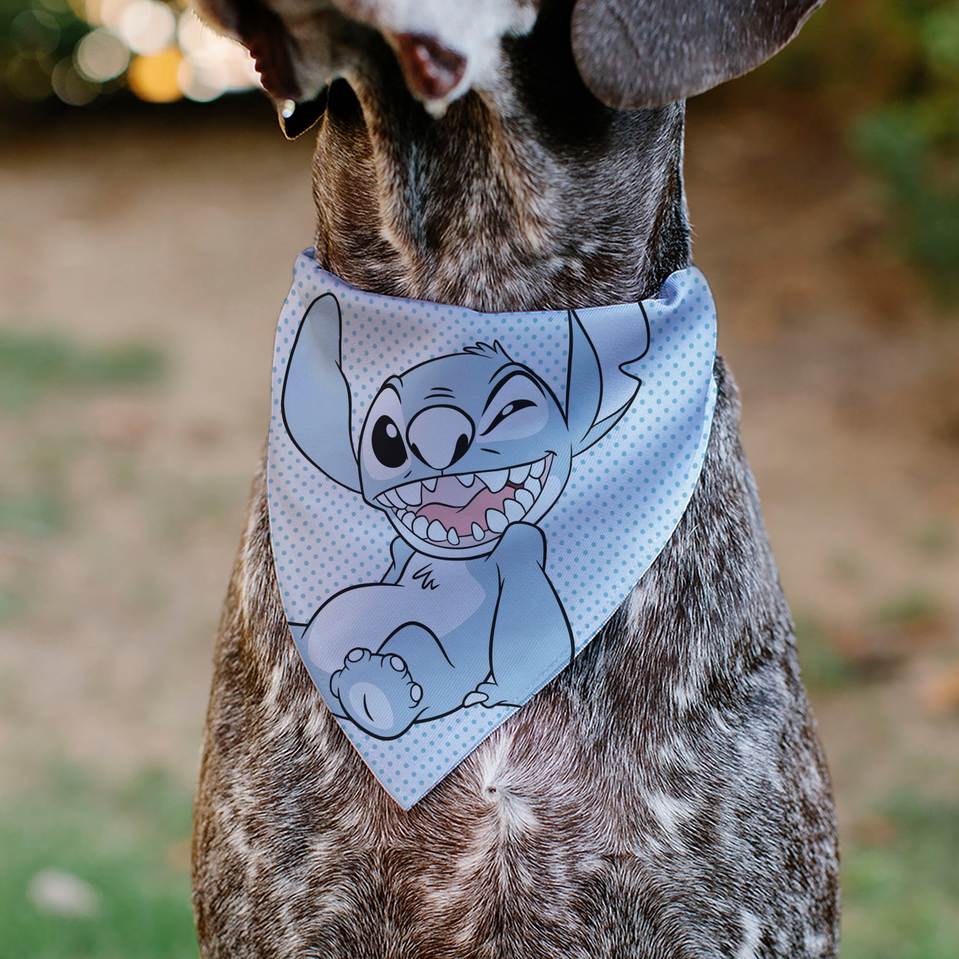 Pet Bandana - Lilo & Stitch Stitch Winking Pose and Polka Dots White/Blue Pet Bandanas Disney