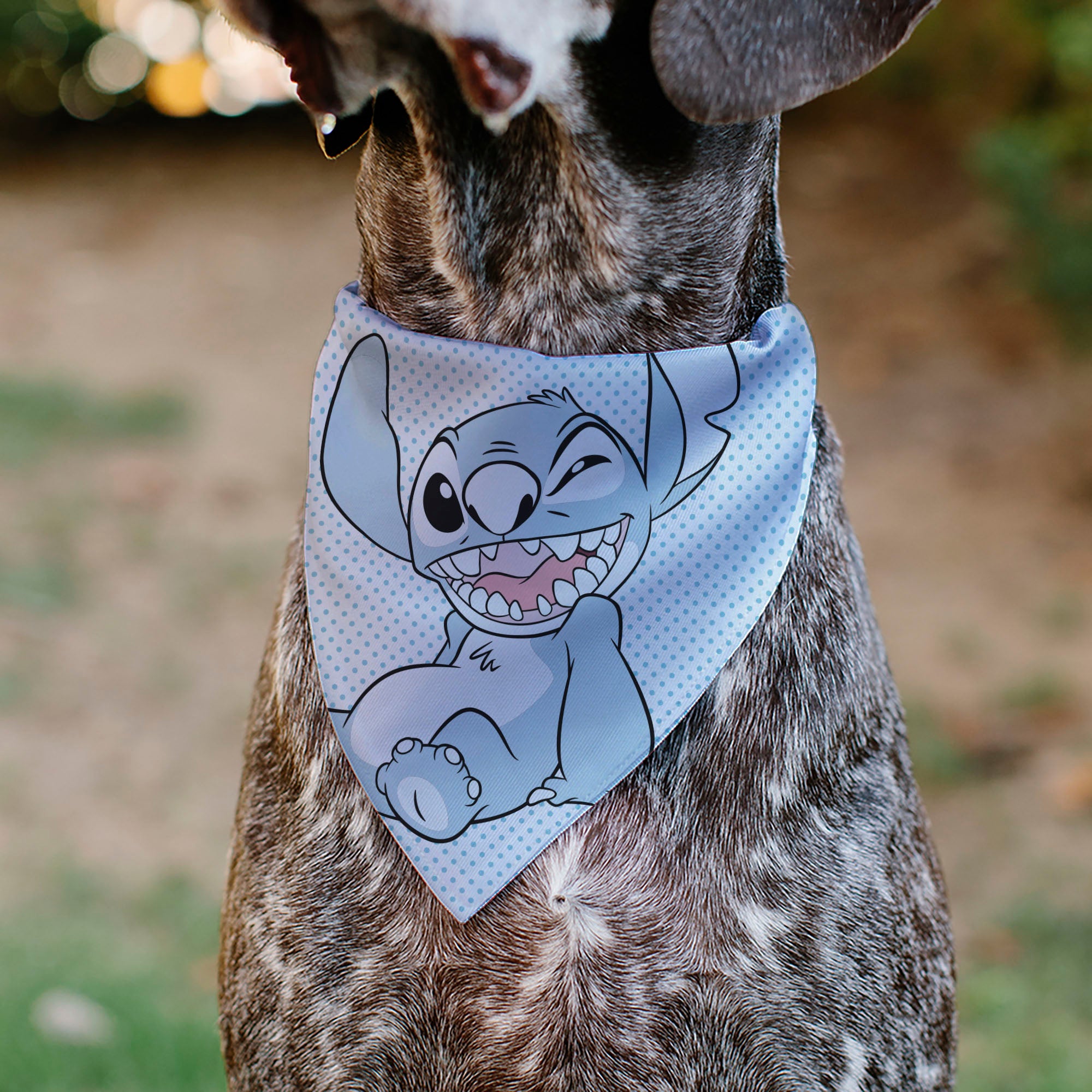 Pet Bandana - Lilo & Stitch Stitch Winking Pose and Polka Dots White/Blue Pet Bandanas Disney