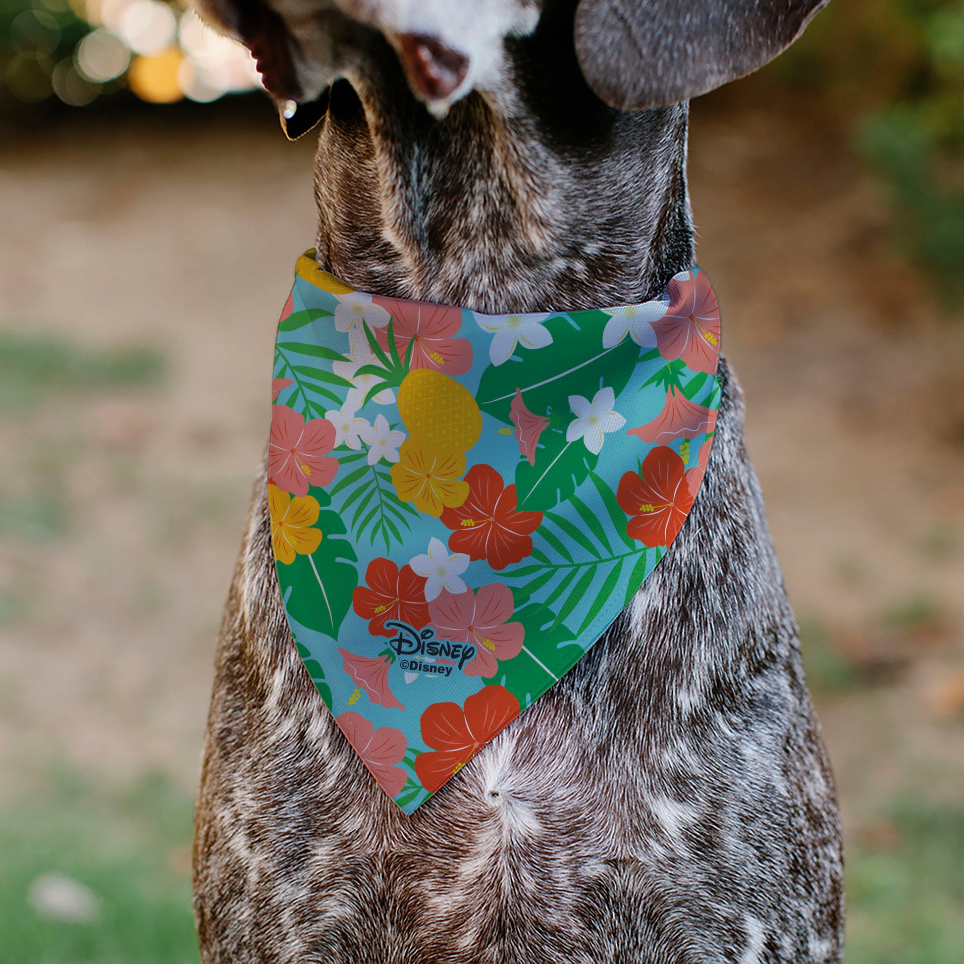 Pet Bandana - Lilo & Stitch Stitch Hang Loose Pose Floral Collage Blue Pet Bandanas Disney