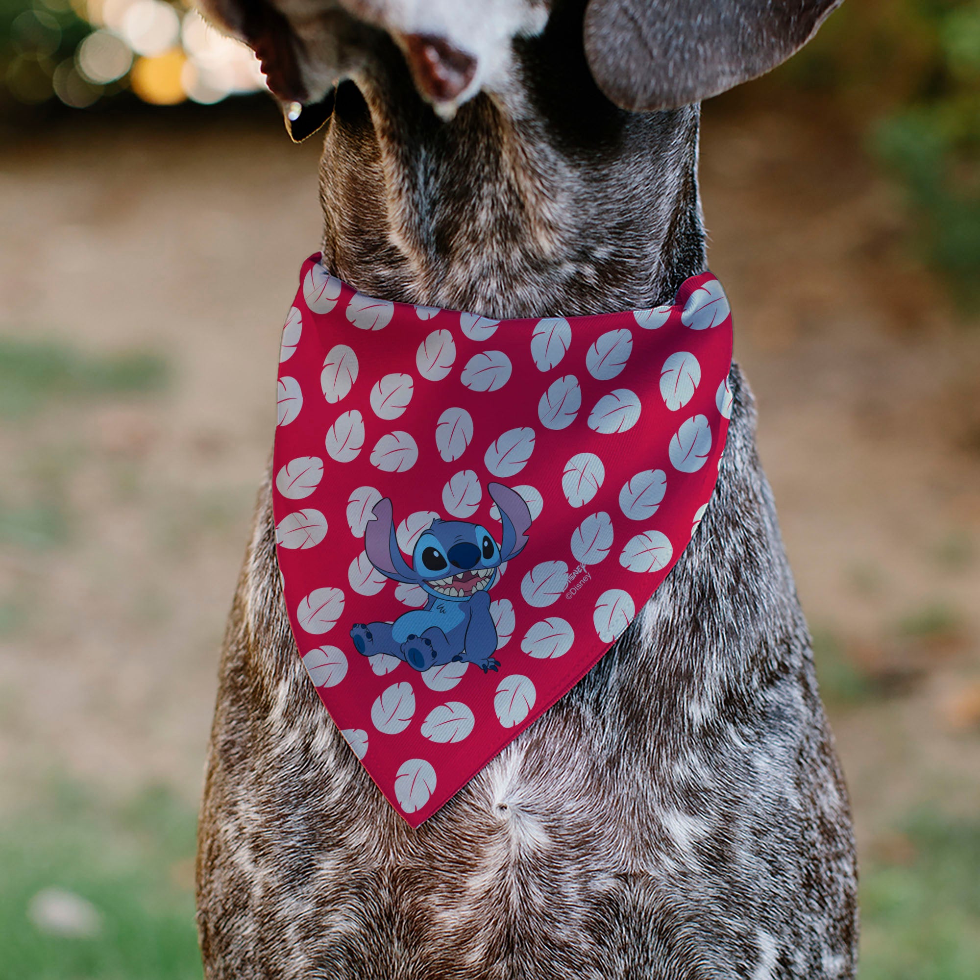 Pet Bandana - Lilo Dress Leaves & Stitch Sitting Pose Red/White Pet Bandanas Disney