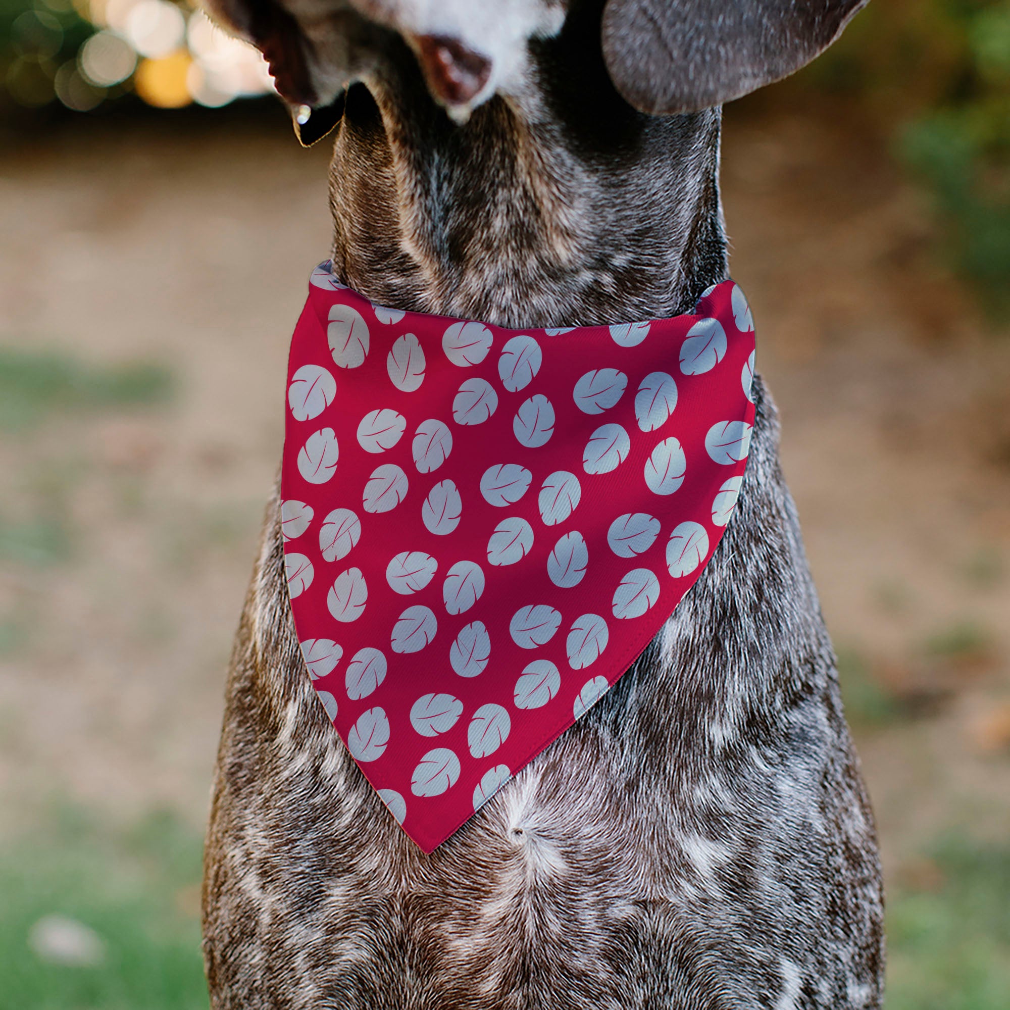 Pet Bandana - Lilo Dress Leaves & Stitch Sitting Pose Red/White Pet Bandanas Disney