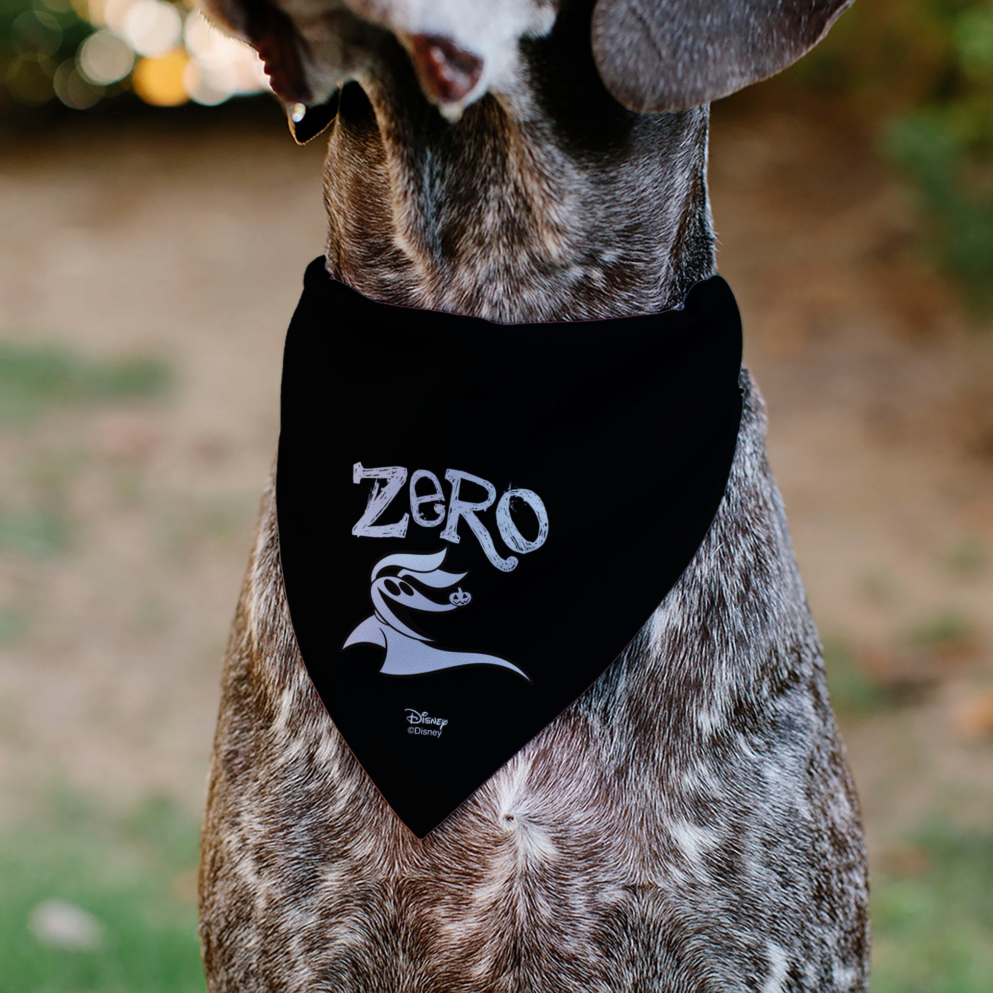 Pet Bandana - Nightmare Before Christmas ZERO Smiling Pose Black/White Pet Bandanas Disney