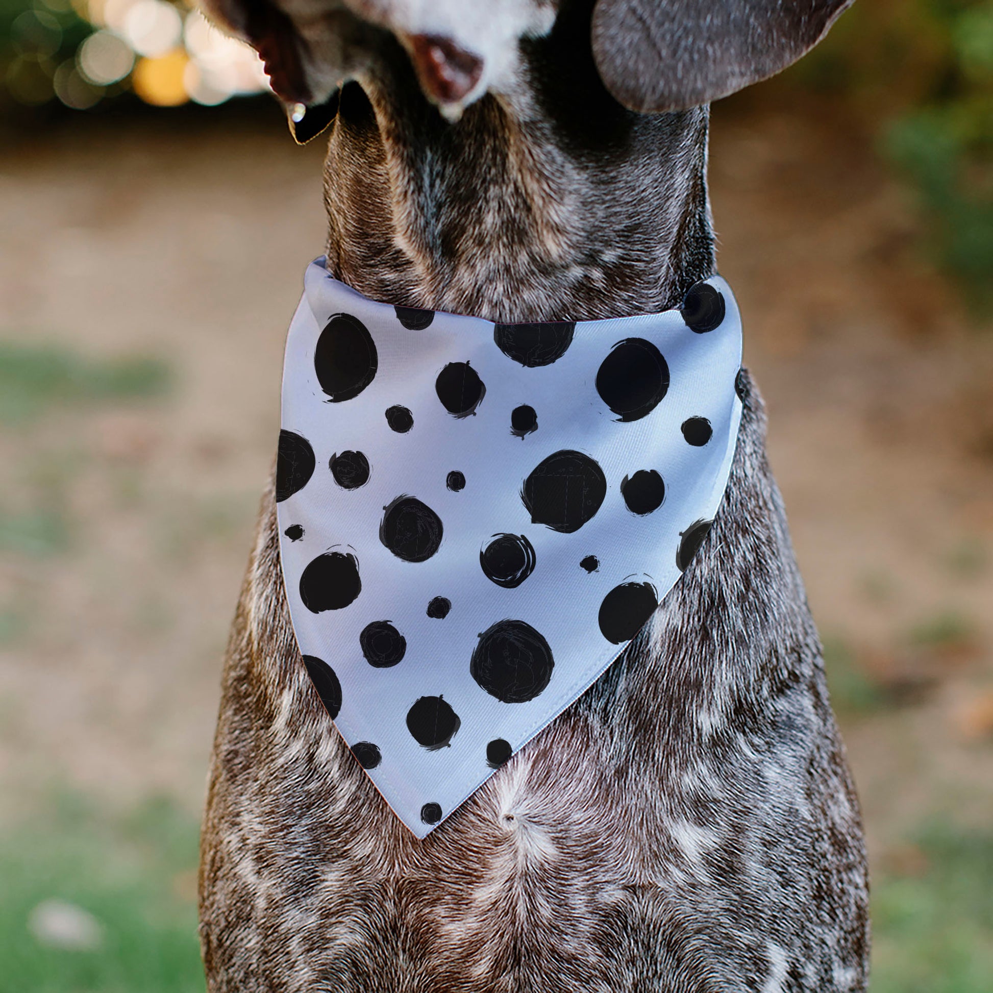 Pet Bandana - 101 Dalmatians Cruella's Spots White/Black Pet Bandanas Disney