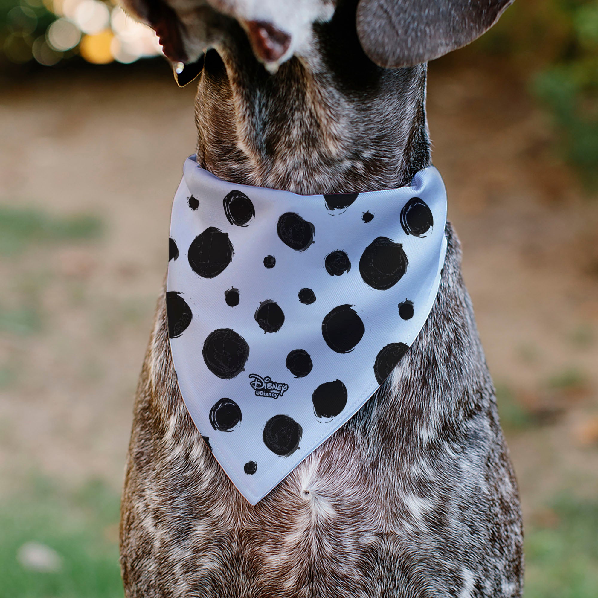 Pet Bandana - 101 Dalmatians Cruella's Spots White/Black Pet Bandanas Disney