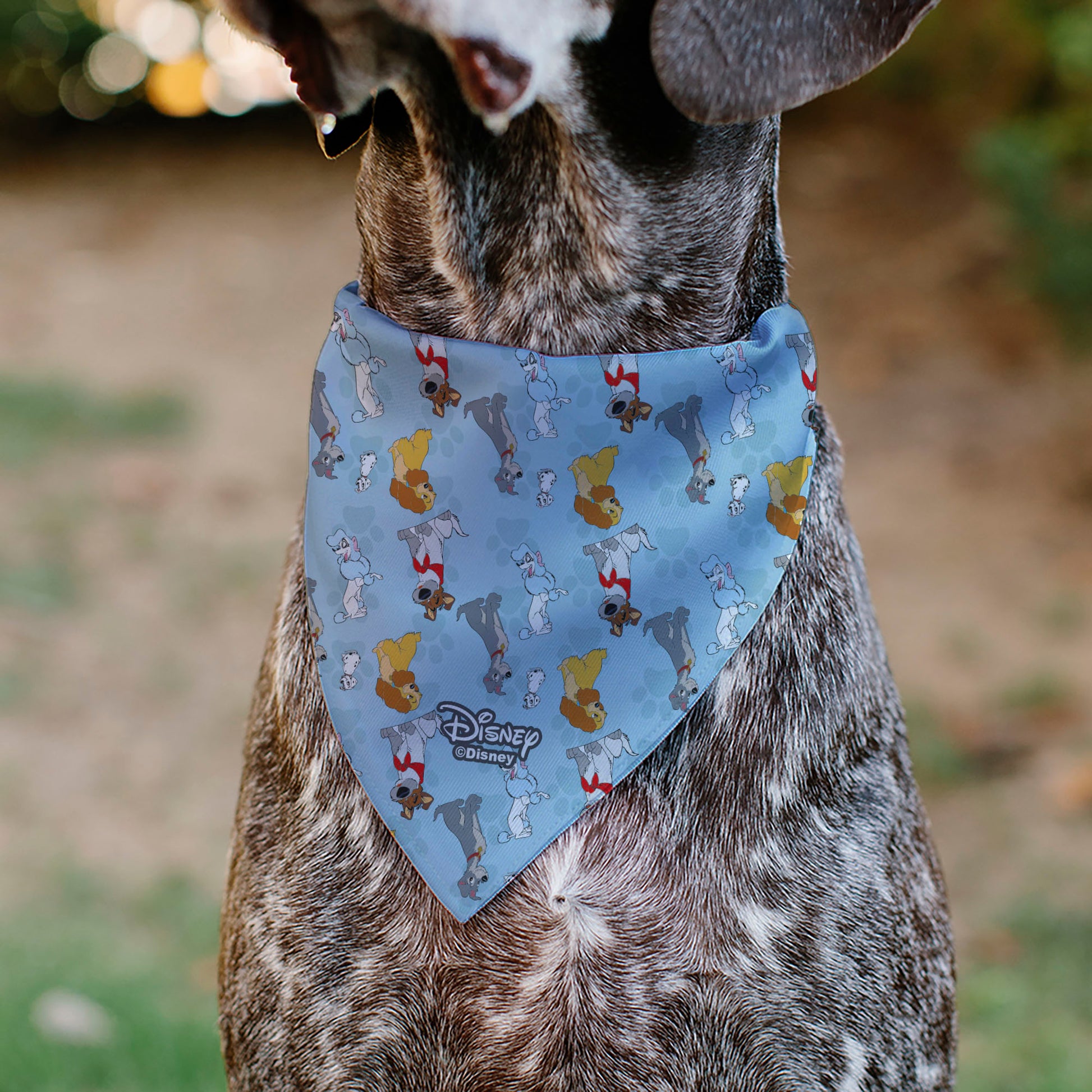 Pet Bandana - Disney Dogs 5-Dog Group Collage/Paws Blues Pet Bandanas Disney