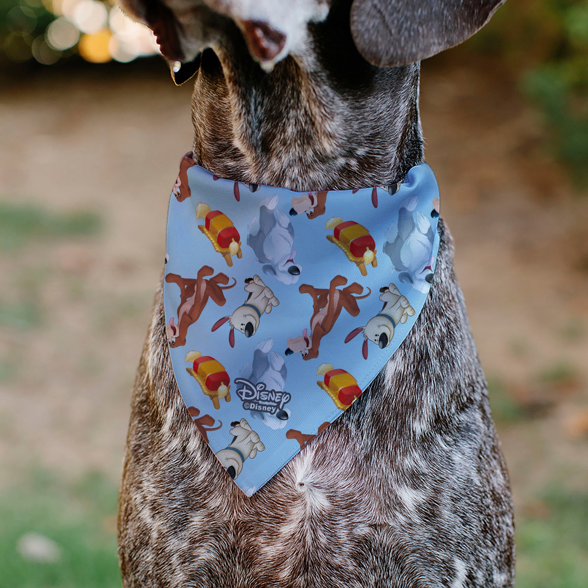 Pet Bandana - Disney Princess Dogs 4-Dog Group Collage/Paws Blues Pet Bandanas Disney
