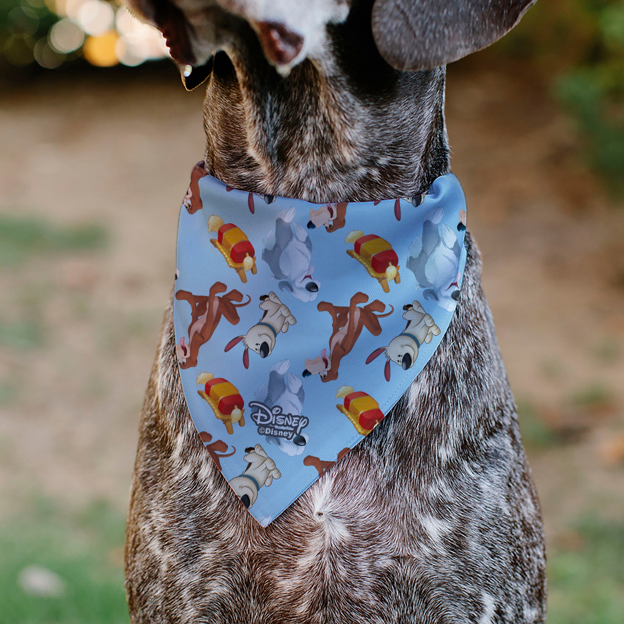 Pet Bandana - Disney Princess Dogs 4-Dog Group Collage/Paws Blues Pet Bandanas Disney