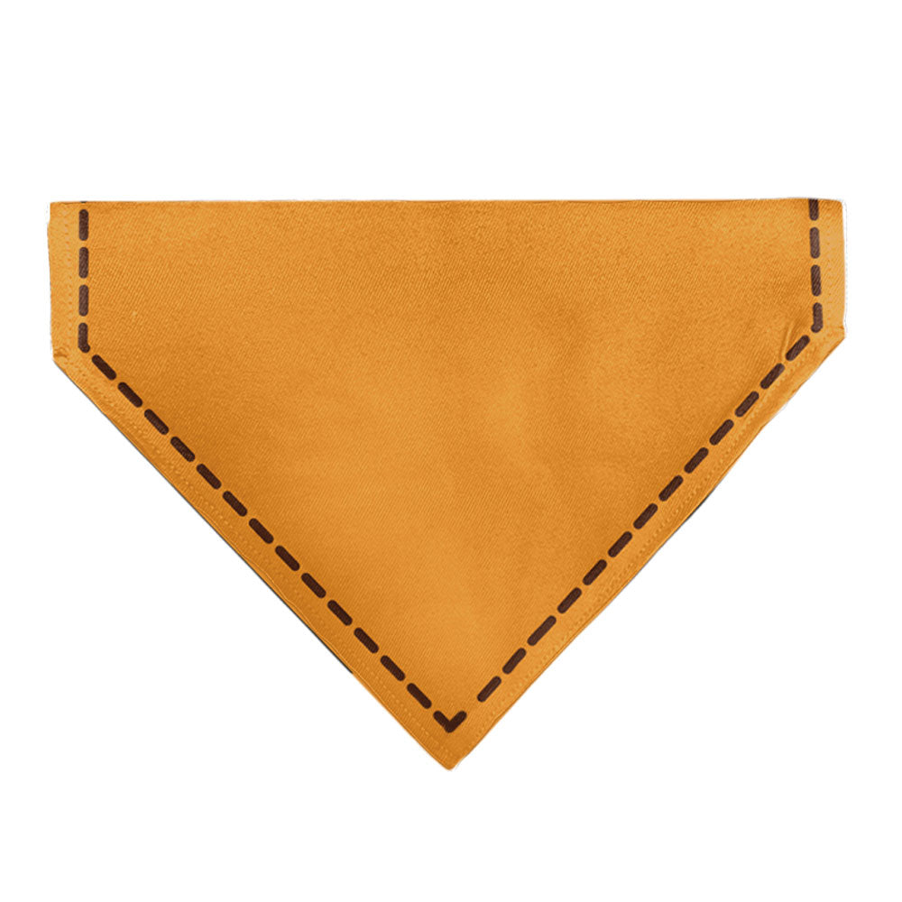 Pet Bandana - Up Dug SQUIRREL Pose and Wilderness Explorer Badge Orange Pet Bandanas Disney