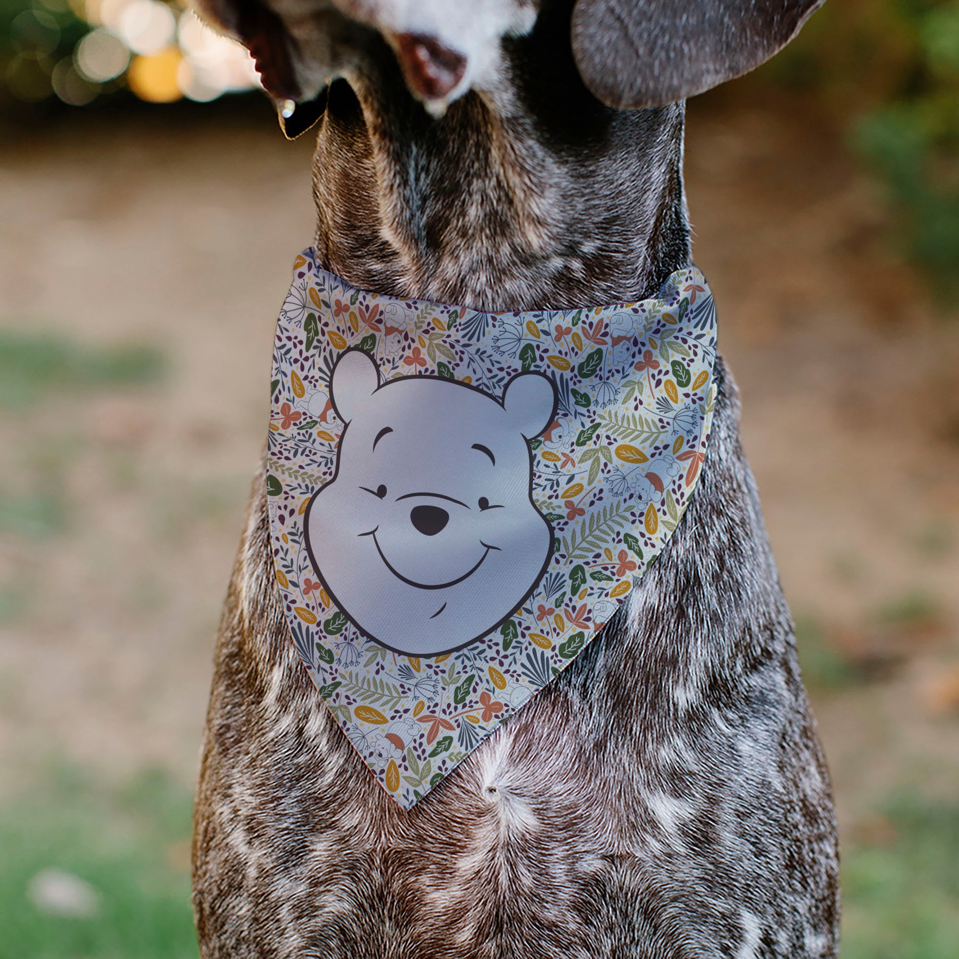 Pet Bandana - Winnie the Pooh Smiling Face/Foliage Collage Beige/Green/Orange/Yellow Pet Bandanas Disney