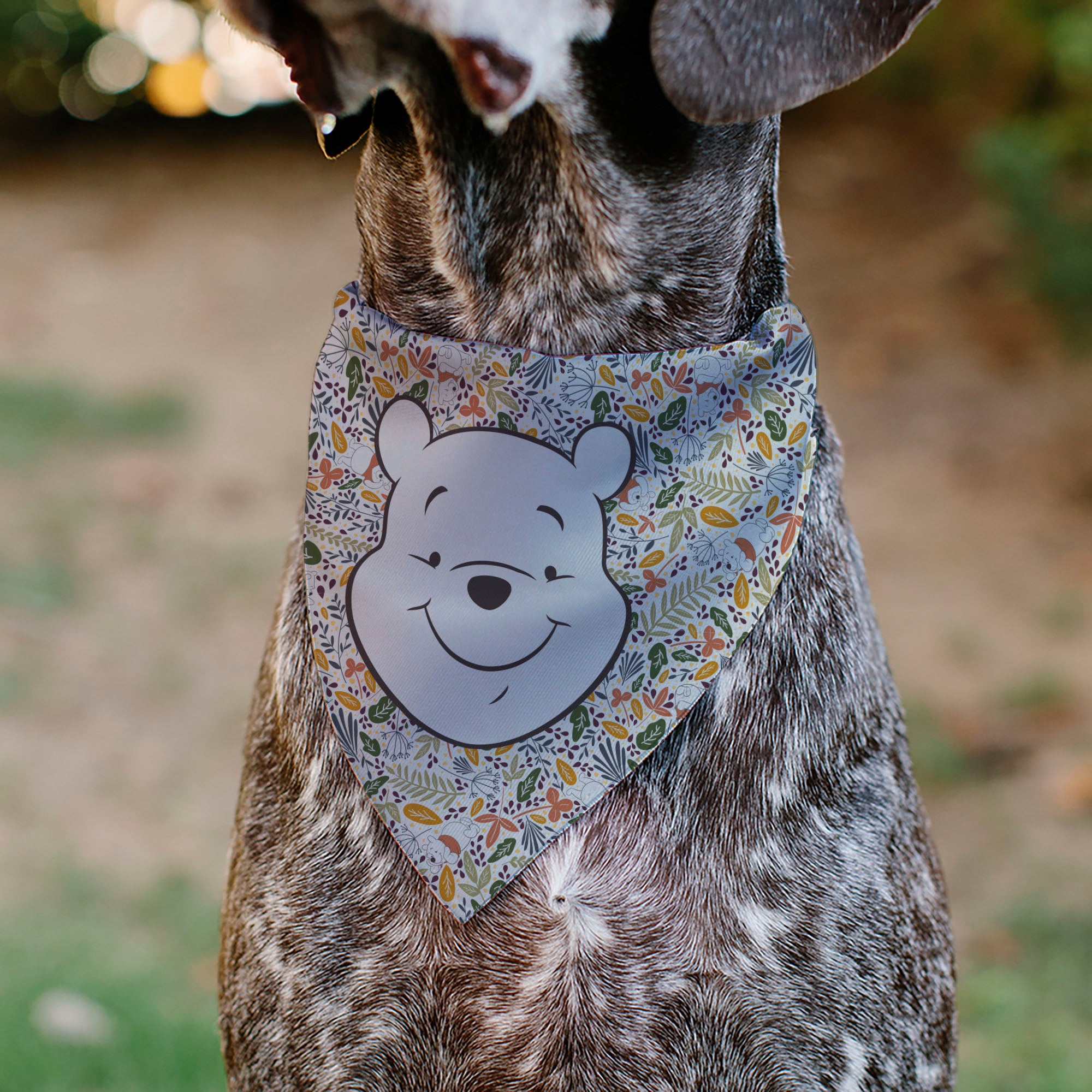 Pet Bandana - Winnie the Pooh Smiling Face/Foliage Collage Beige/Green/Orange/Yellow Pet Bandanas Disney