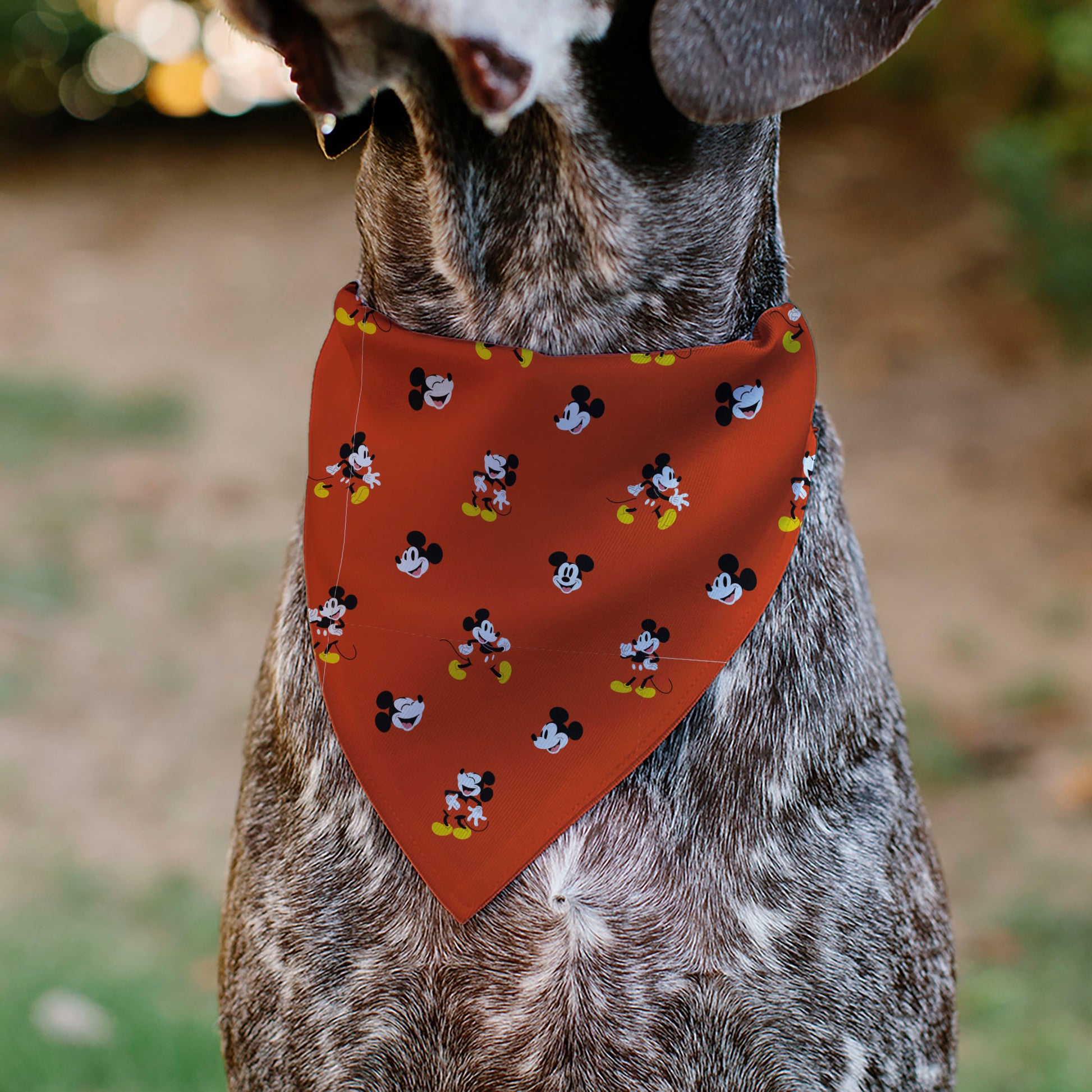 Pet Bandana - Mickey Mouse Poses and Expressions Scattered Red Pet Bandanas Disney