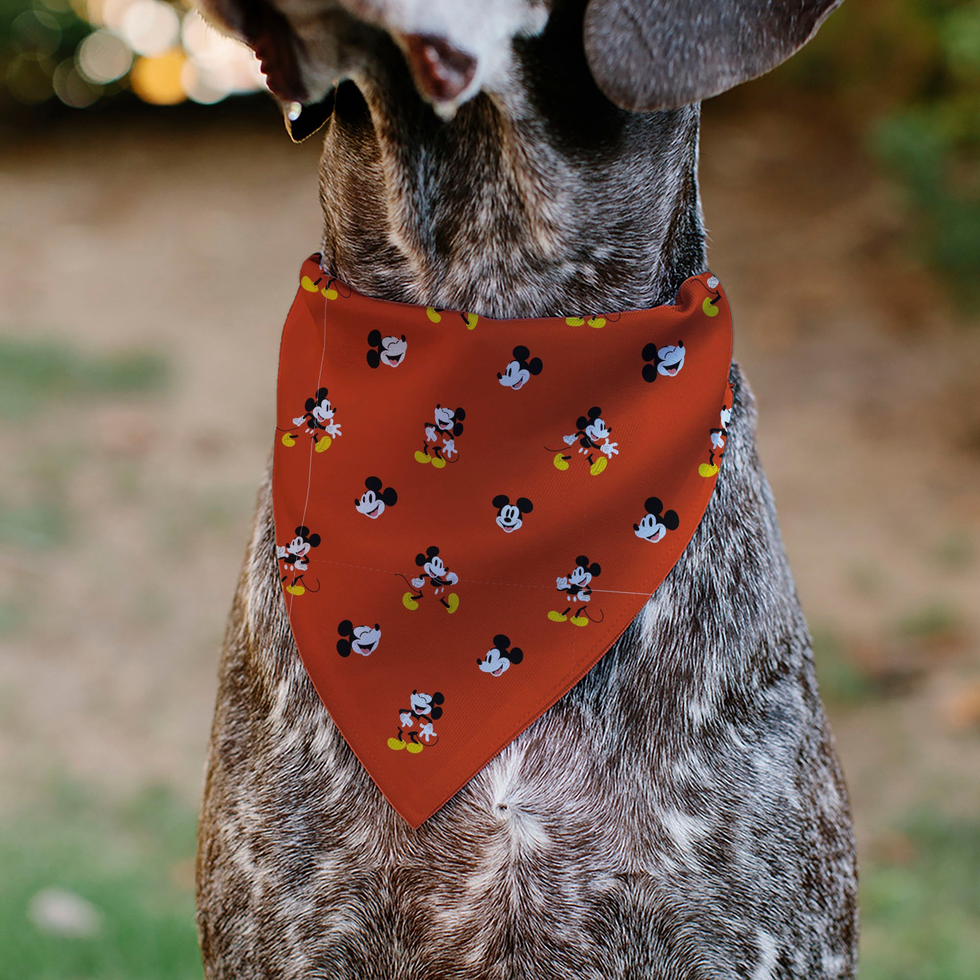 Pet Bandana - Mickey Mouse Poses and Expressions Scattered Red Pet Bandanas Disney