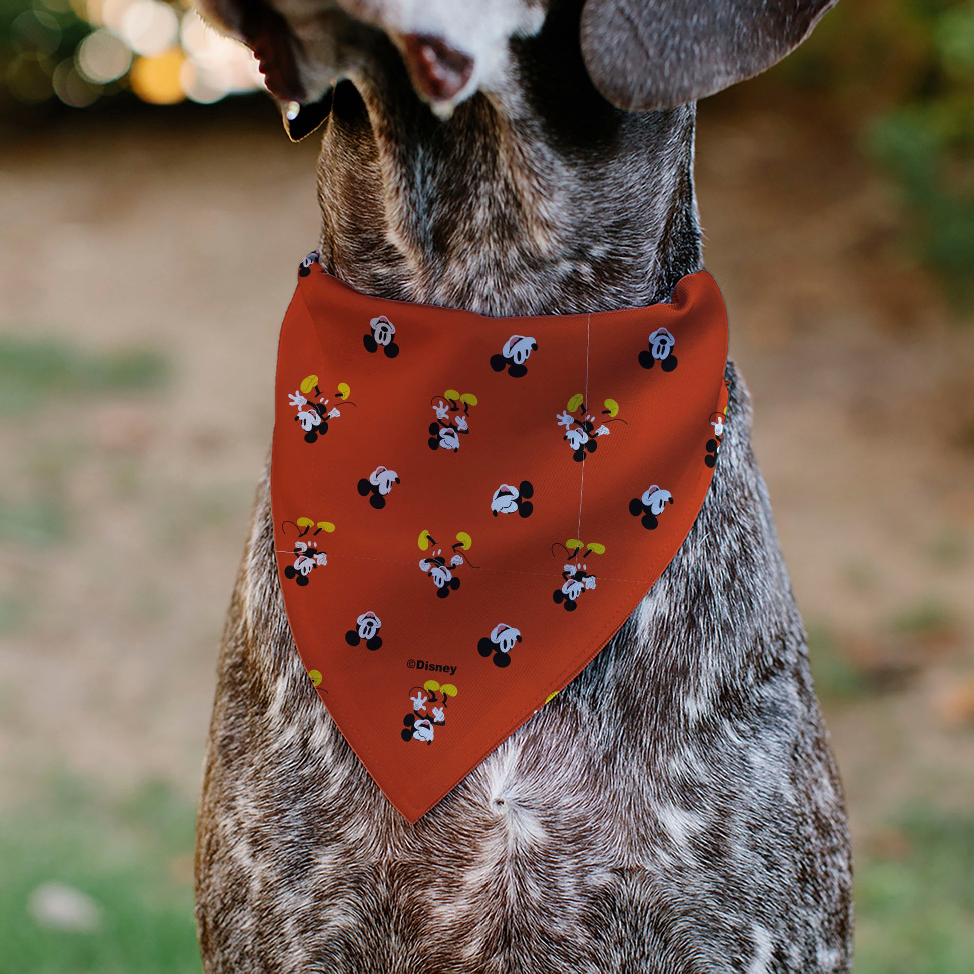 Pet Bandana - Mickey Mouse Poses and Expressions Scattered Red Pet Bandanas Disney