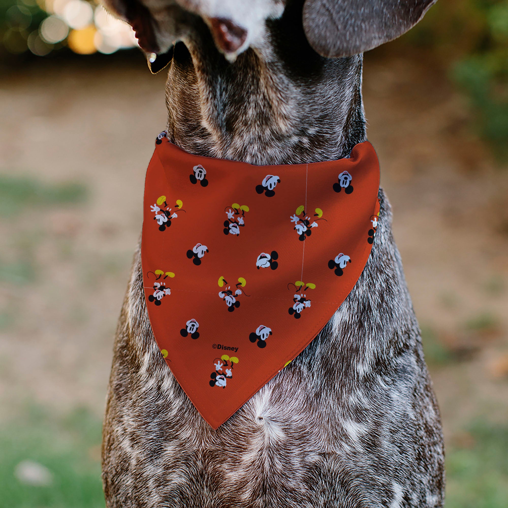 Pet Bandana - Mickey Mouse Poses and Expressions Scattered Red Pet Bandanas Disney