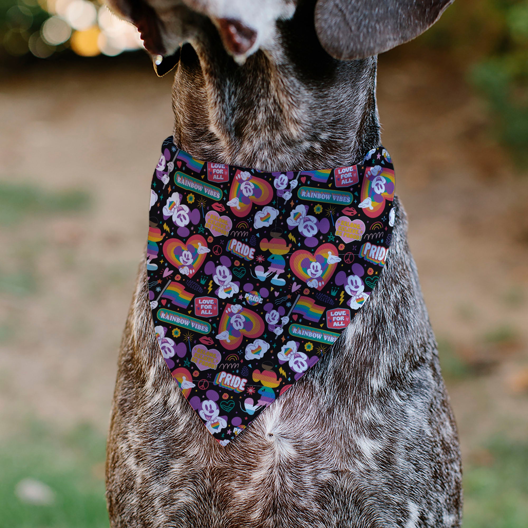 Pet Bandana - Mickey Mouse Pride Poses Rainbow Collage Black Pet Bandanas Disney
