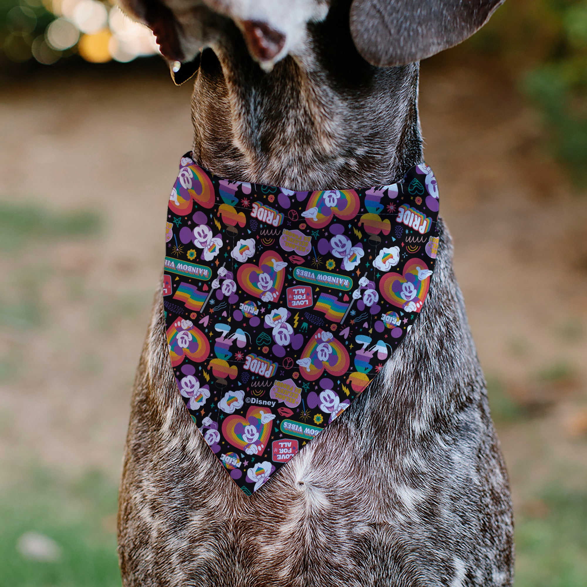 Pet Bandana - Mickey Mouse Pride Poses Rainbow Collage Black Pet Bandanas Disney