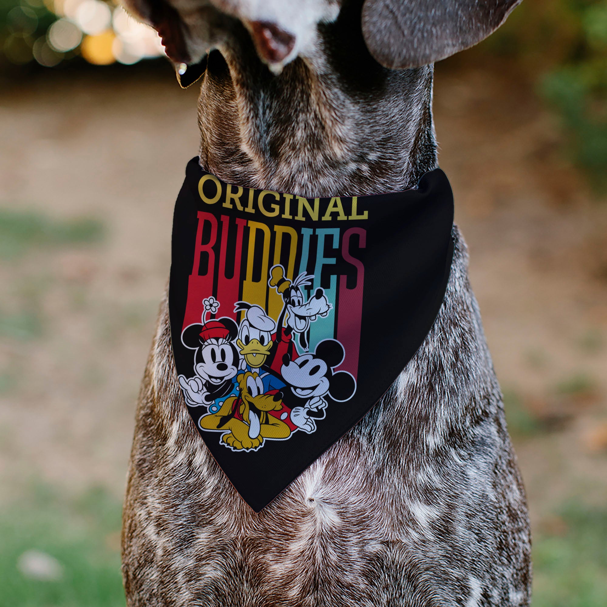 Pet Bandana - Disney Fab Five ORIGINAL BUDDIES Group Pose Black Pet Bandanas Disney