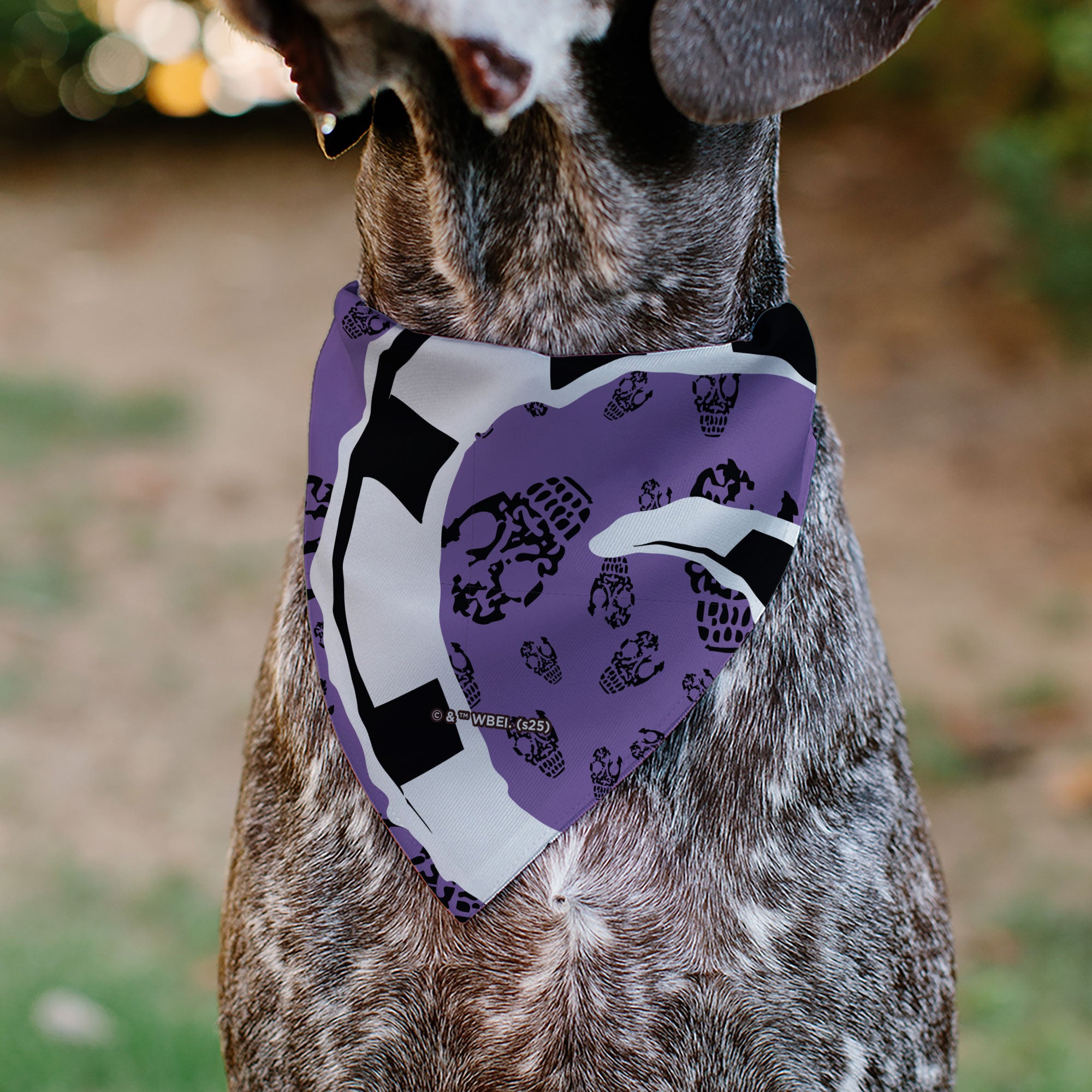 Pet Bandana - Beetlejuice Sandworm Pose and Skulls Icon Purple/Black Pet Bandanas Beetlejuice