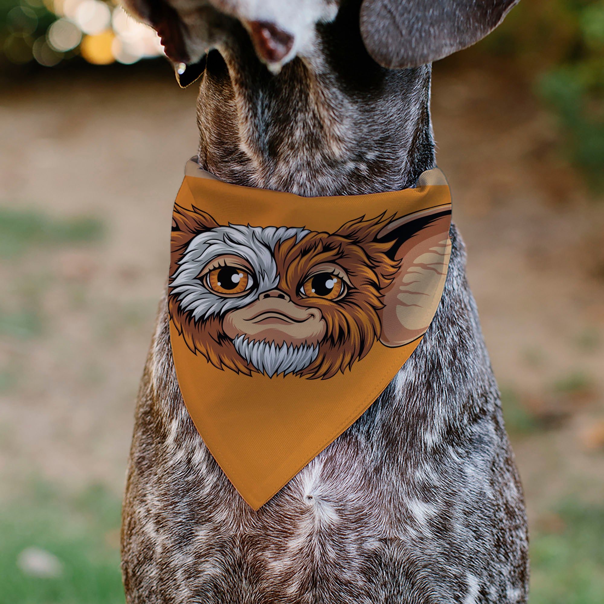 Pet Bandana - Gizmo Face and GREMLINS 1984 Varsity Text Beige/Blue/Yellow Pet Bandanas Gremlins