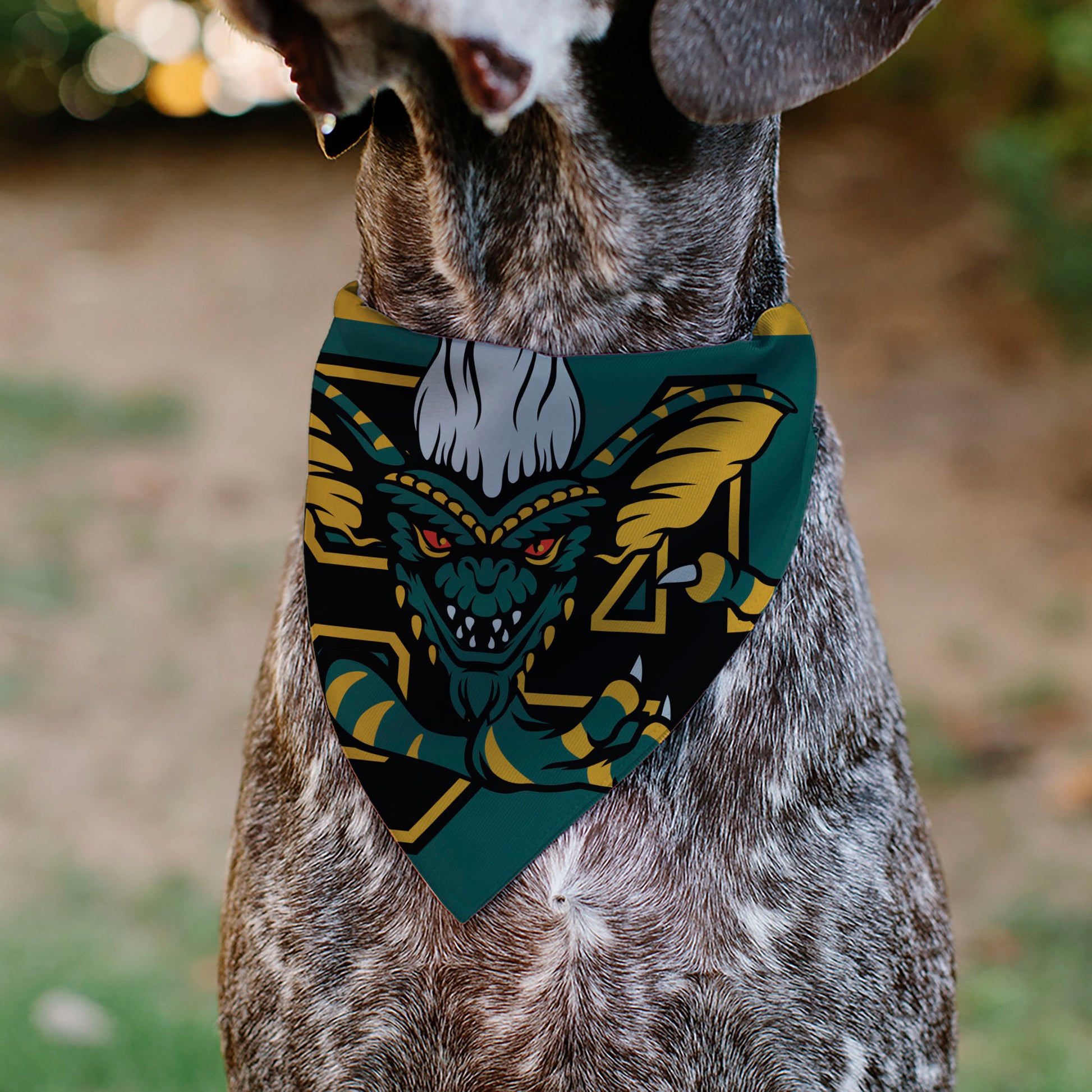 Pet Bandana - Stripe 84 Face and GREMLINS Title Logo Pet Bandanas Gremlins
