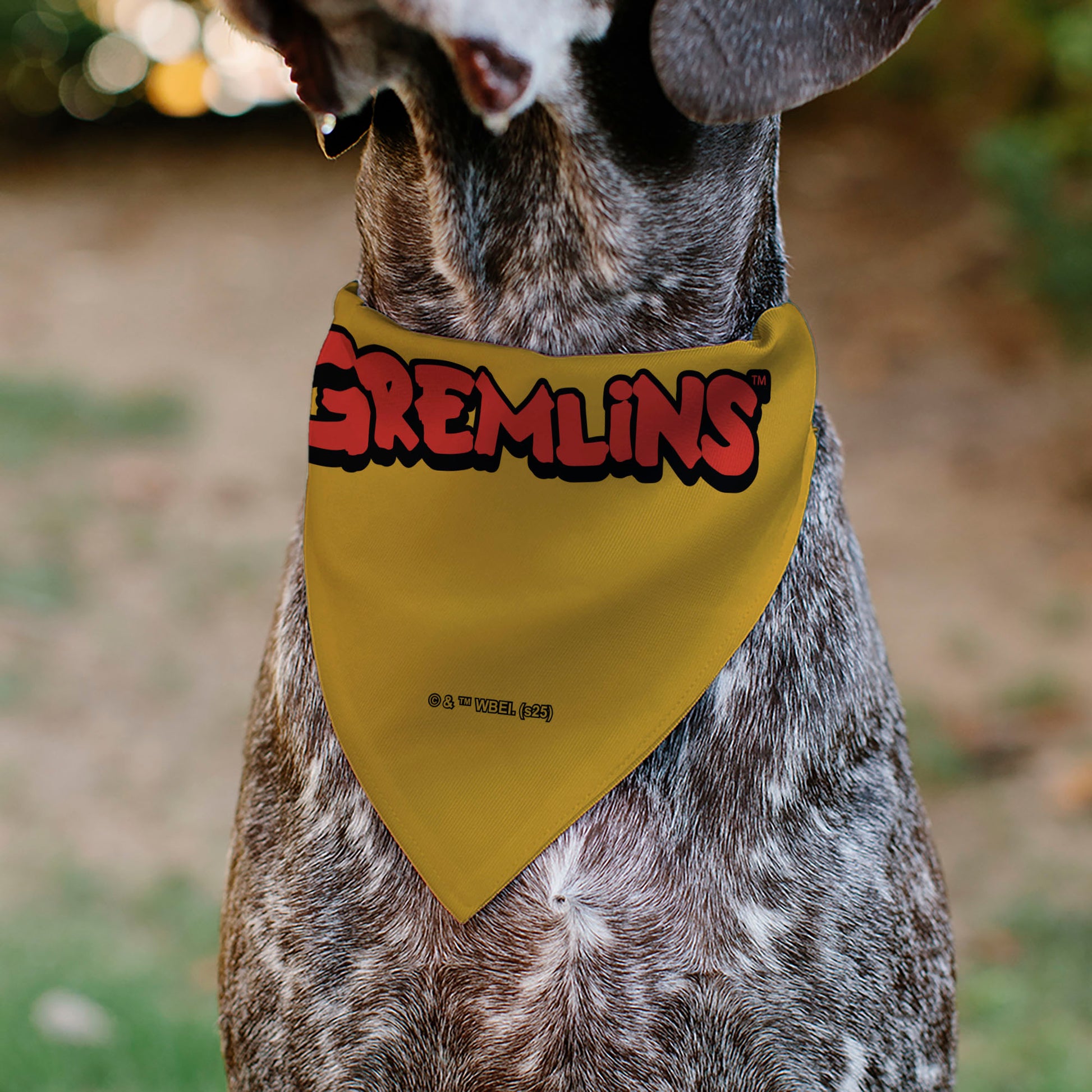 Pet Bandana - Stripe 84 Face and GREMLINS Title Logo Pet Bandanas Gremlins