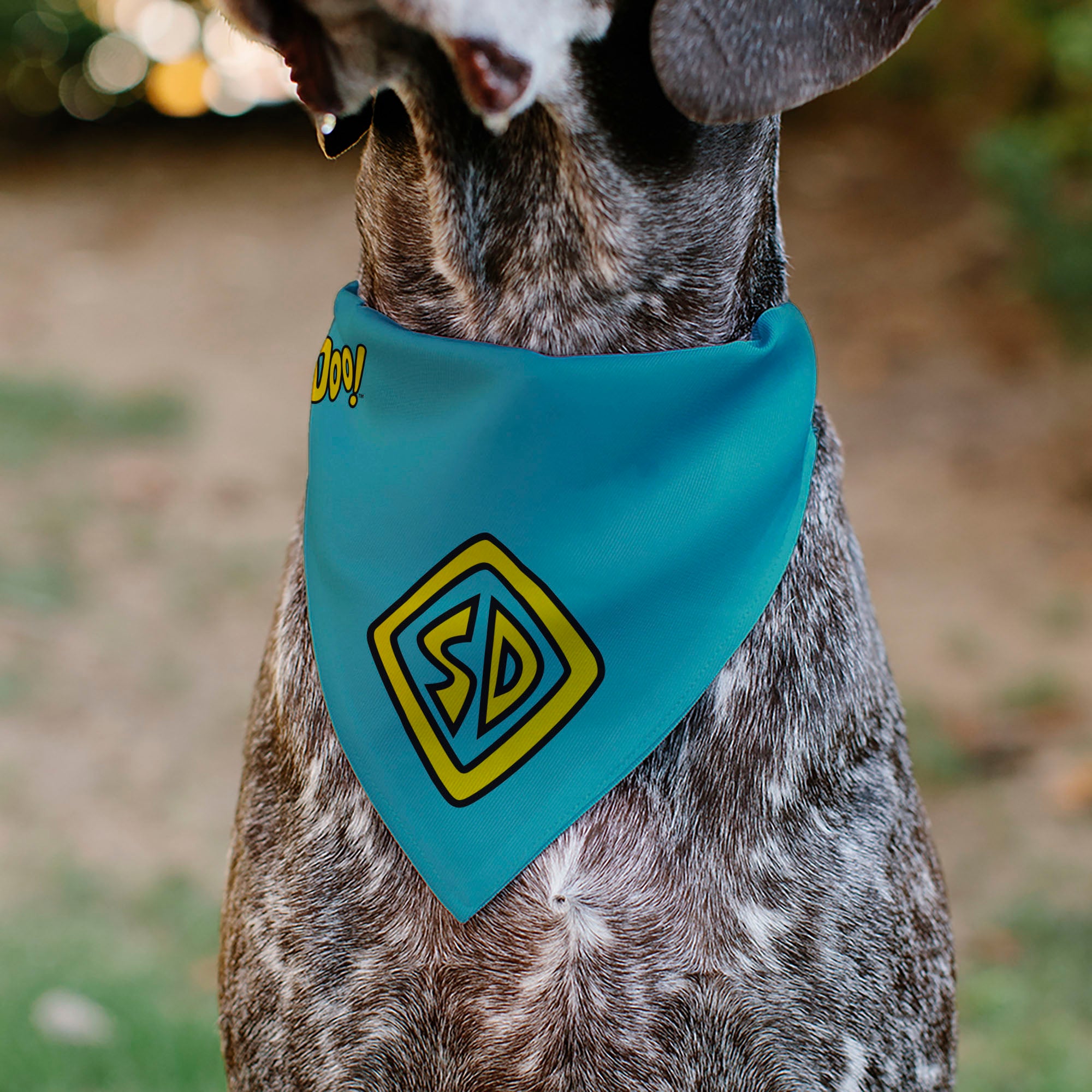 Pet Bandana - Scooby Doo Logo Centered and Collage Blue/Yellow Pet Bandanas Scooby Doo