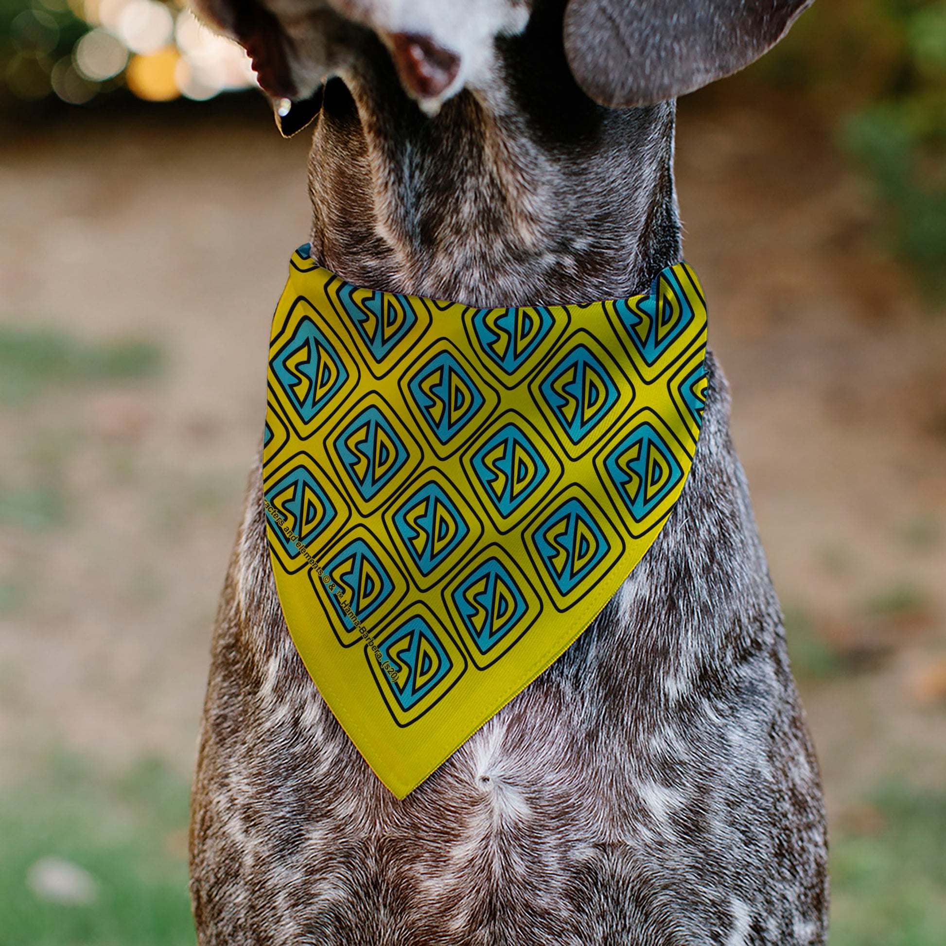 Pet Bandana - Scooby Doo Logo Centered and Collage Blue/Yellow Pet Bandanas Scooby Doo