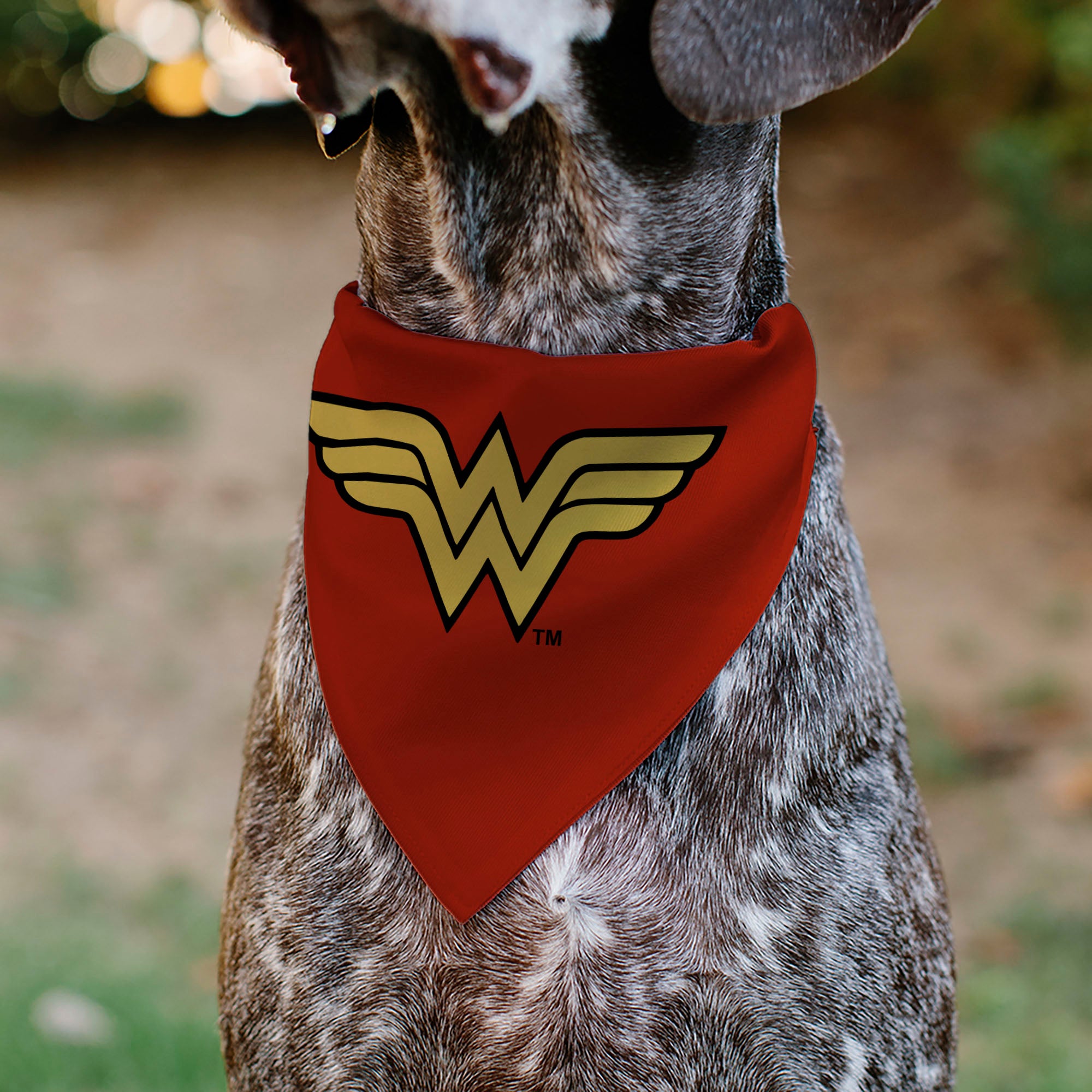 Pet Bandana - Wonder Woman WW Logo Red/Black/Yellow Pet Bandanas DC Comics