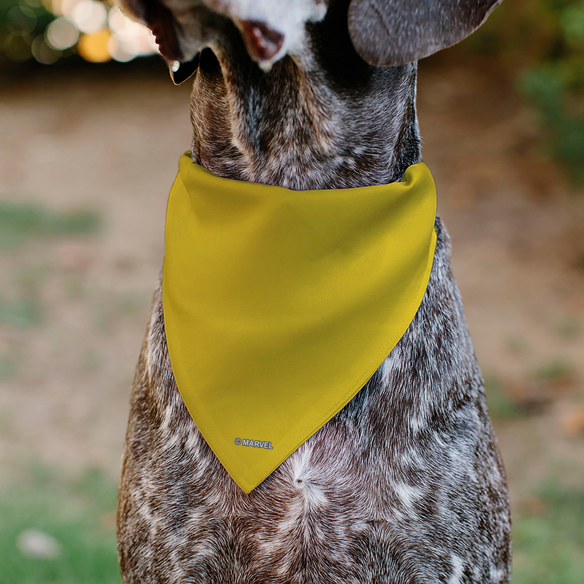 Pet Bandana - X-Men Wolverine Face Yellow Pet Bandanas Marvel Comics