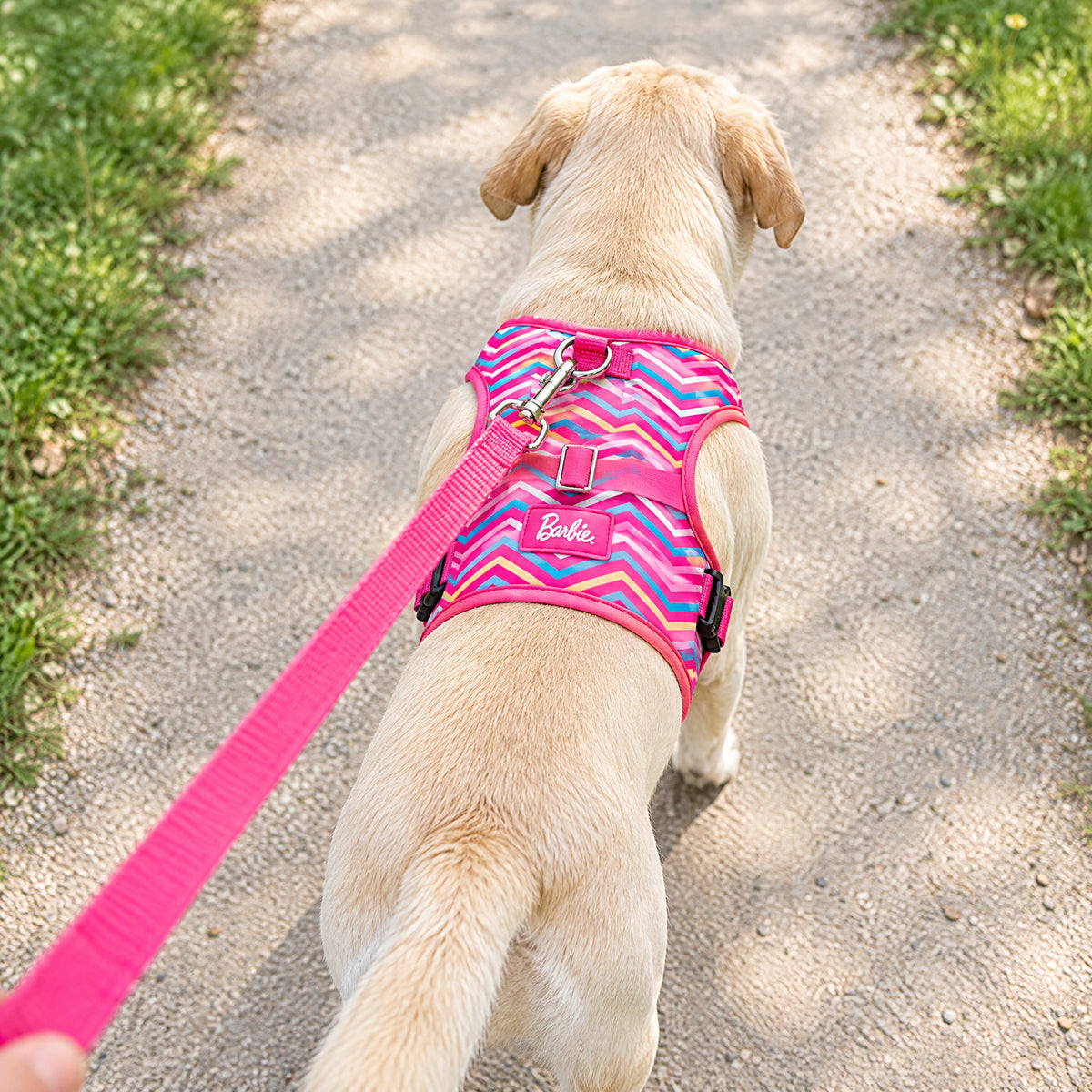 Pet Harness - Barbie Chevron Pink/Multi Color with "Belt and Buckle"