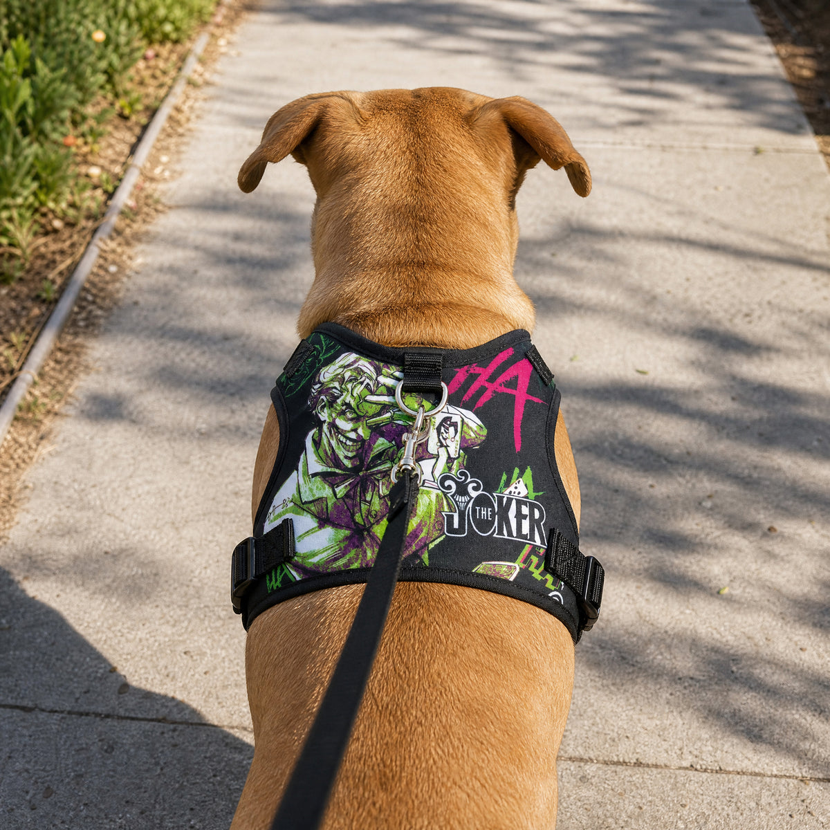 Pet Harness - Joker the Clown Prince of Crime Collage Multi Color Pet Harnesses DC Comics