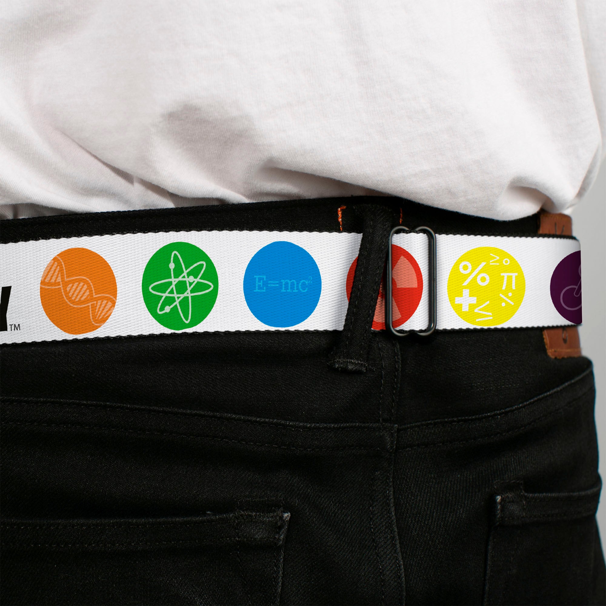 THE BIG BANG THEORY Full Color Black White Red Seatbelt Belt - THE BIG BANG THEORY DNA/Atom/E/Radiation White Webbing Seatbelt Belts The Big Bang Theory