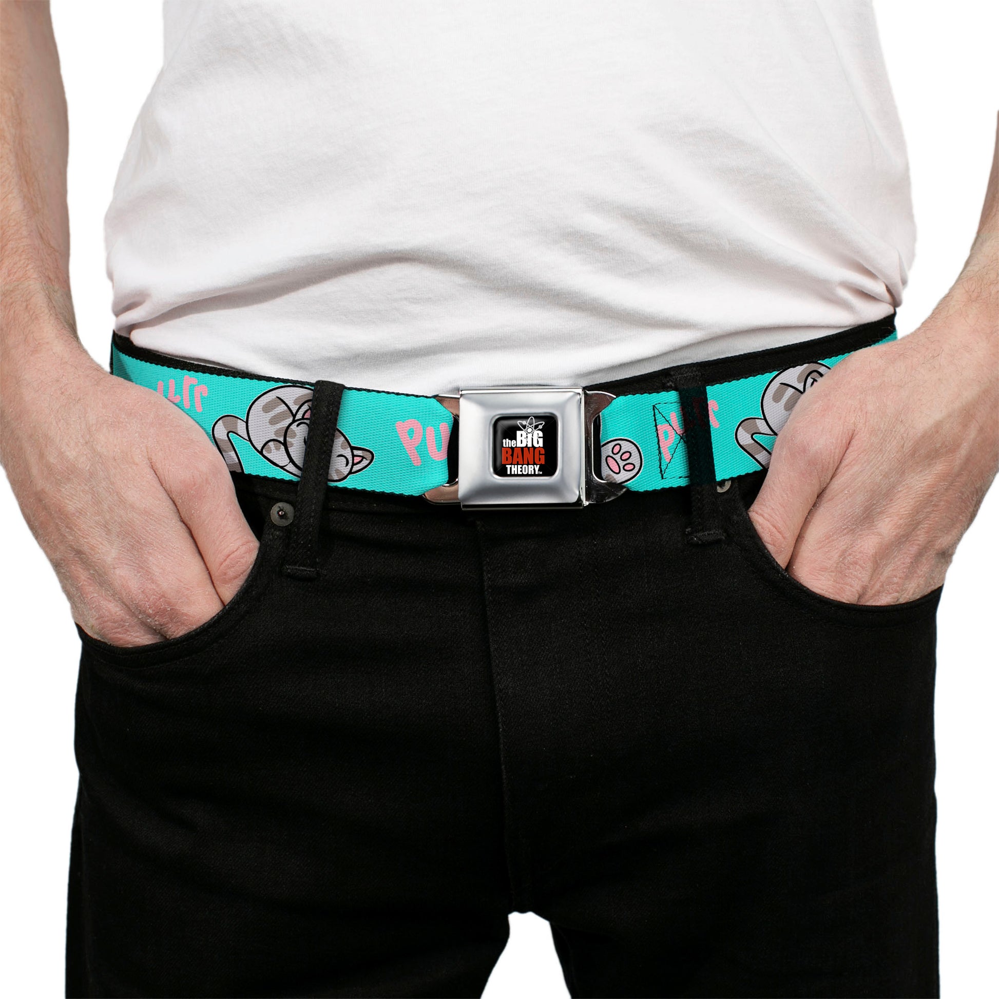 THE BIG BANG THEORY Full Color Black White Red Seatbelt Belt - Soft Kitty Poses Pale Turquoise/Pink Webbing Seatbelt Belts The Big Bang Theory