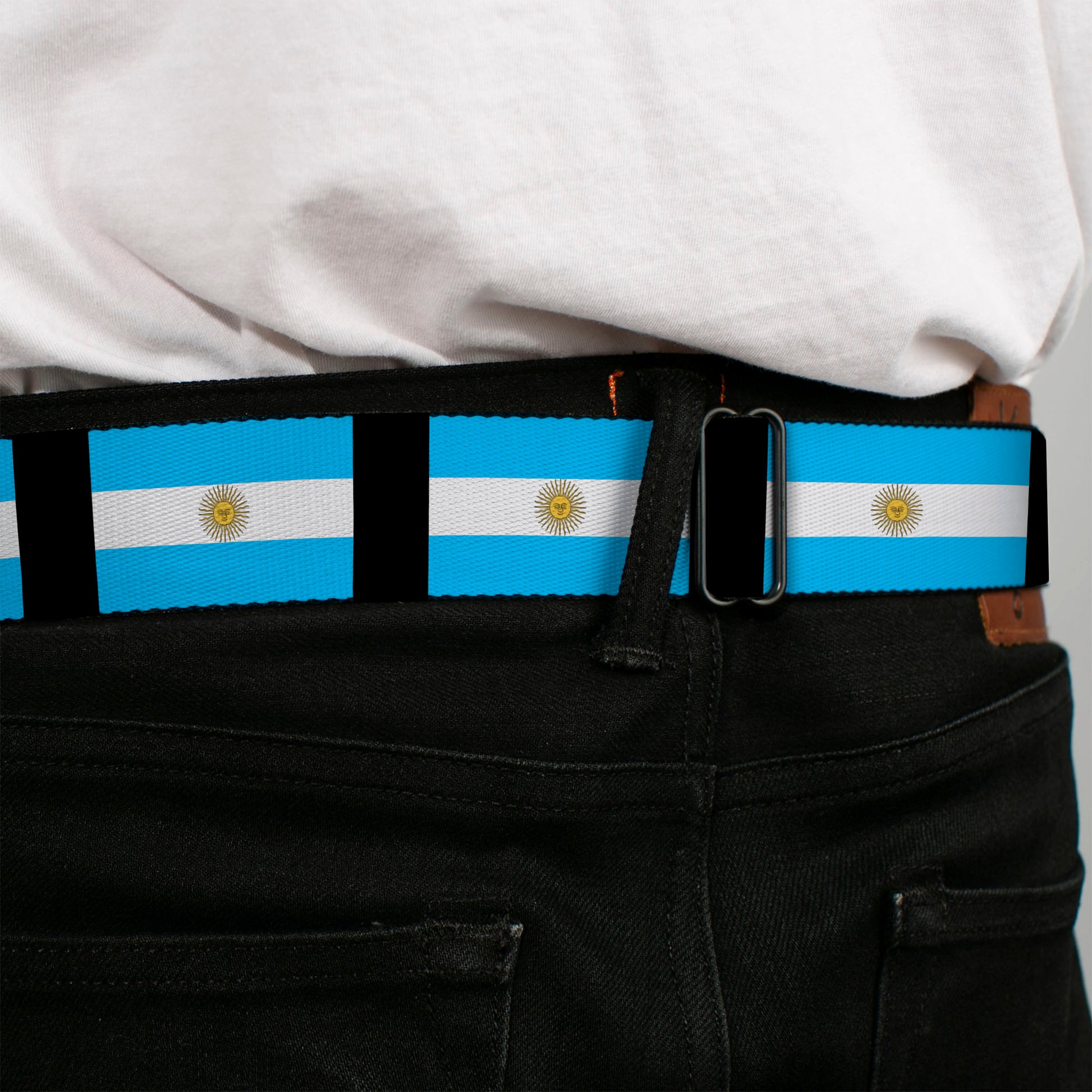 BD Wings Logo CLOSE-UP Full Color Black Silver Seatbelt Belt - Argentina Flags Webbing Seatbelt Belts Buckle-Down