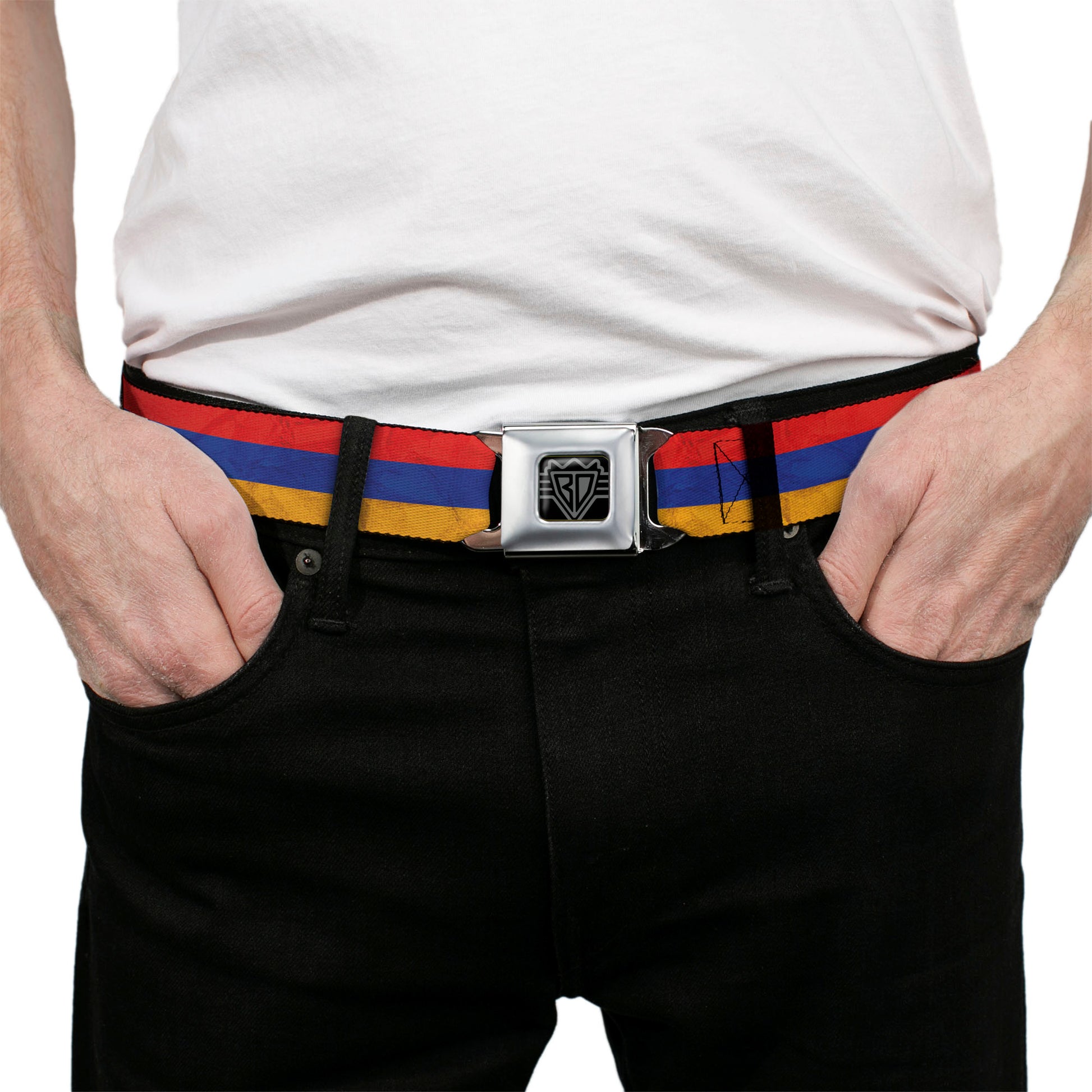 BD Wings Logo CLOSE-UP Full Color Black Silver Seatbelt Belt - Armenia Flag Distressed Webbing Seatbelt Belts Buckle-Down