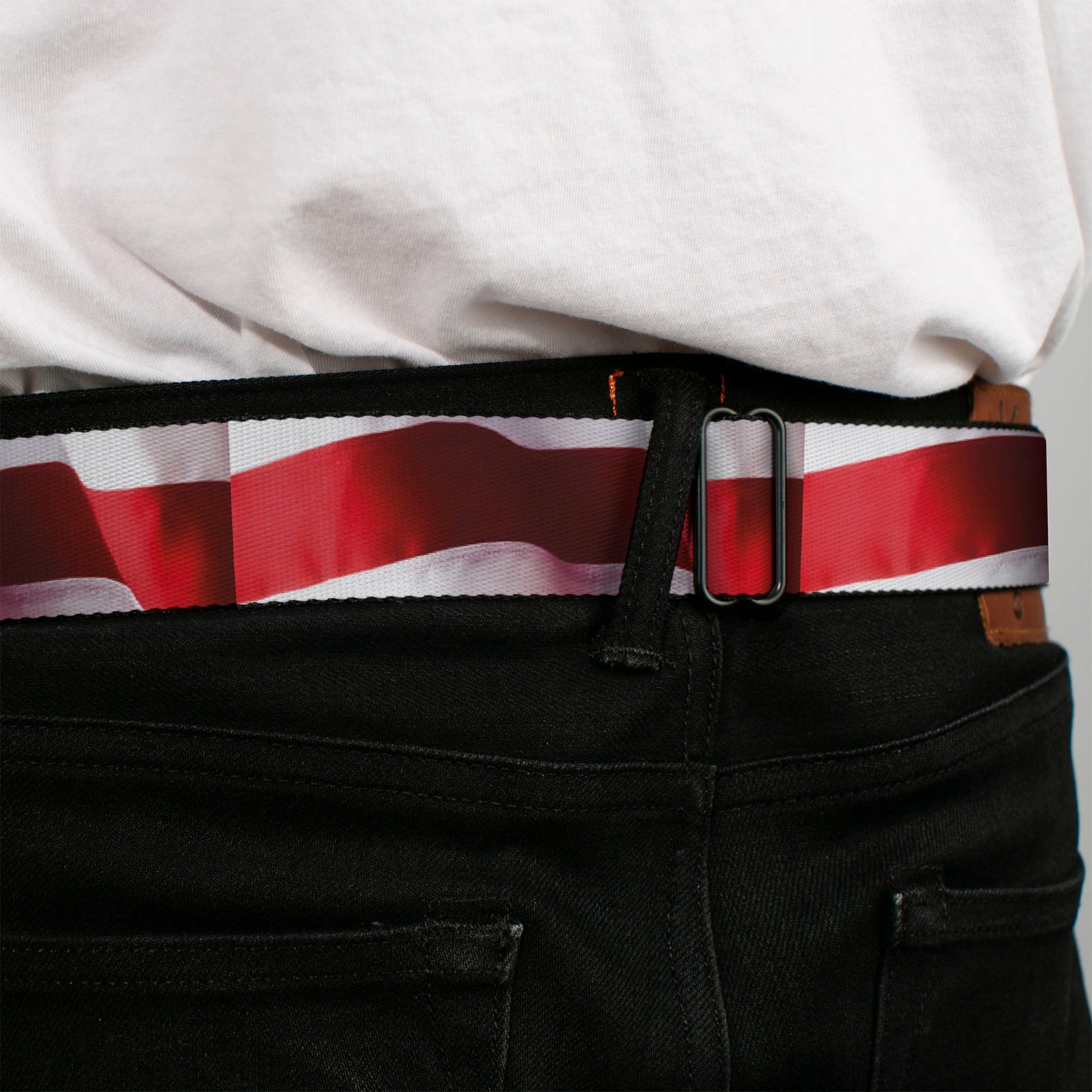 BD Wings Logo CLOSE-UP Full Color Black Silver Seatbelt Belt - American Flag Vivid Stripes CLOSE-UP Red/White Webbing Seatbelt Belts Buckle-Down