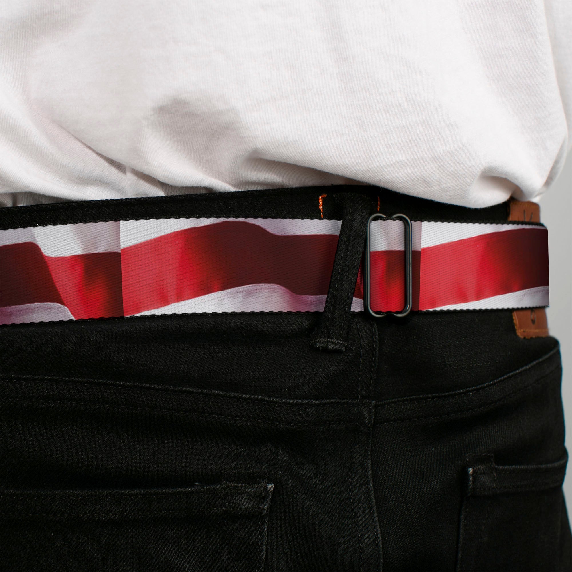 BD Wings Logo CLOSE-UP Full Color Black Silver Seatbelt Belt - American Flag Vivid Stripes CLOSE-UP Red/White Webbing Seatbelt Belts Buckle-Down