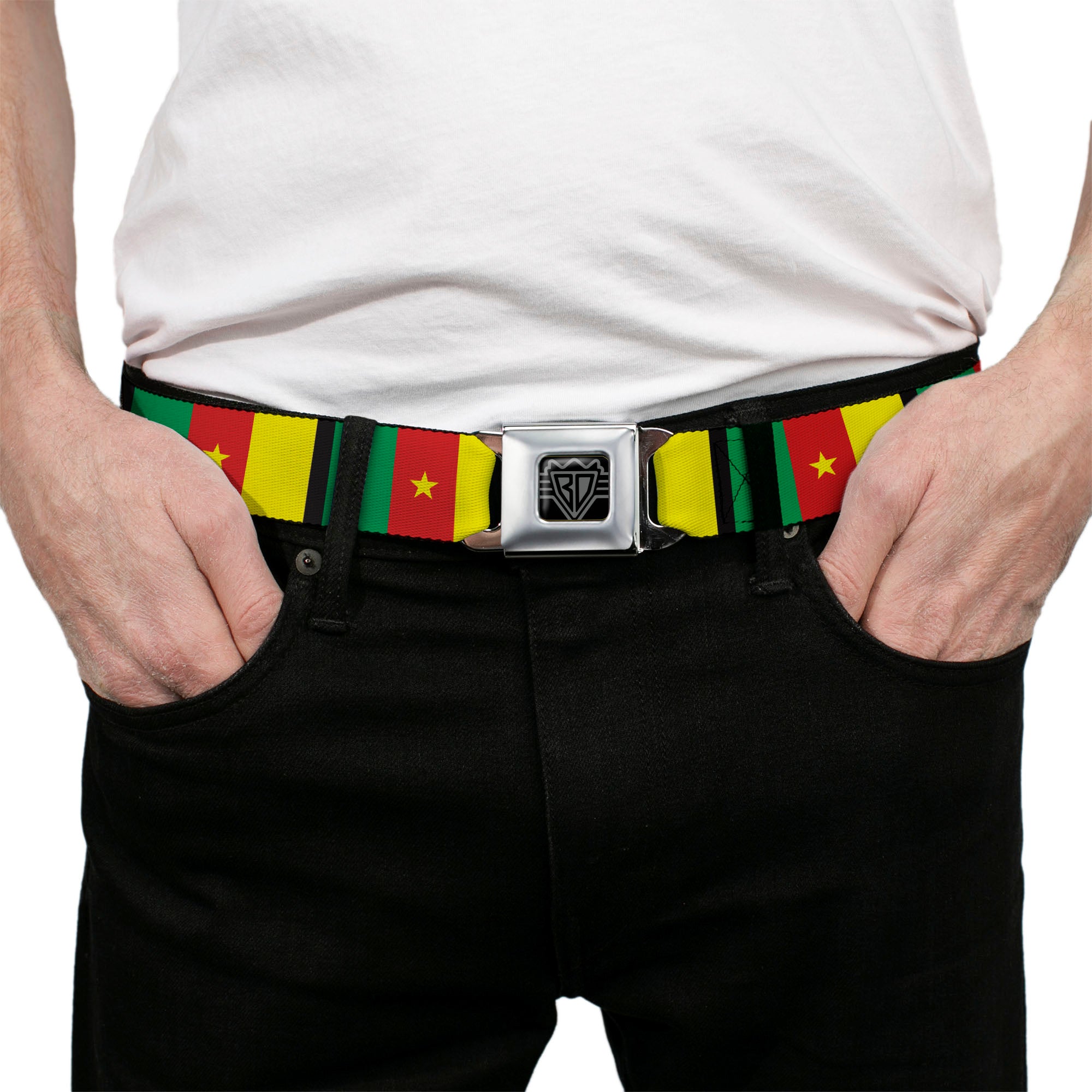 BD Wings Logo CLOSE-UP Full Color Black Silver Seatbelt Belt - Cameroon Flags Webbing Seatbelt Belts Buckle-Down