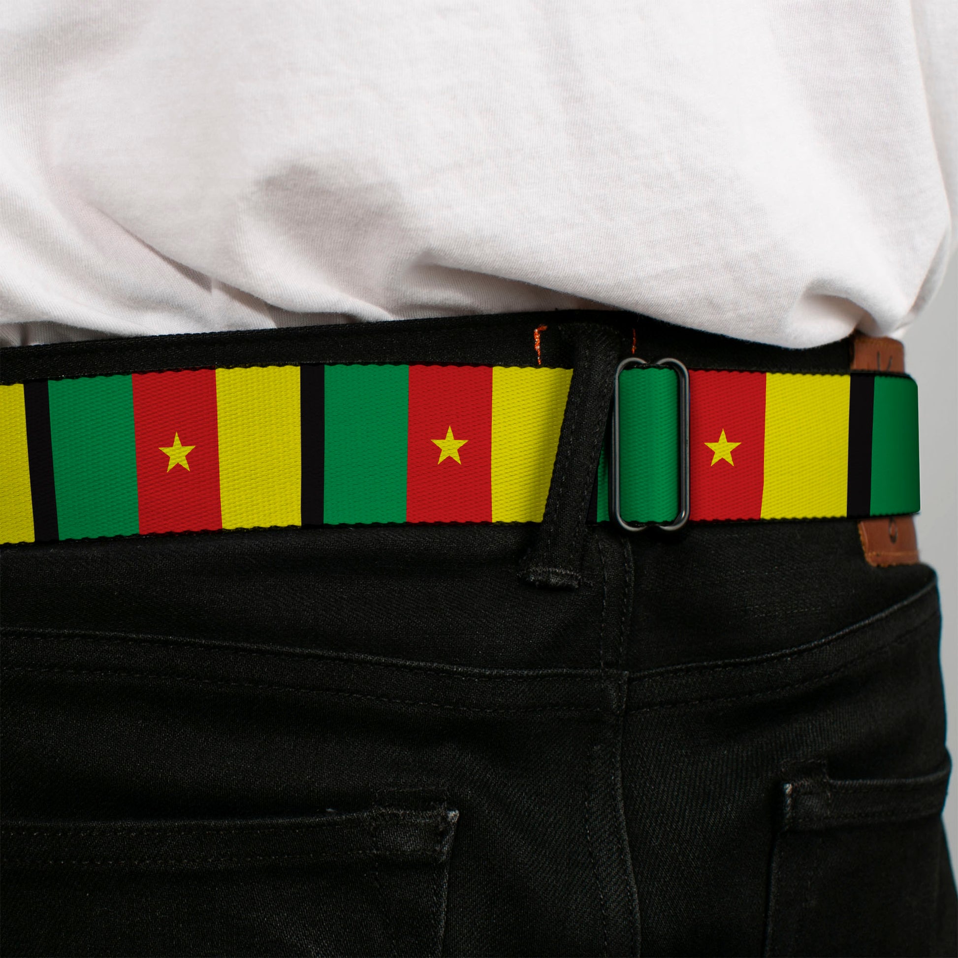 BD Wings Logo CLOSE-UP Full Color Black Silver Seatbelt Belt - Cameroon Flags Webbing Seatbelt Belts Buckle-Down