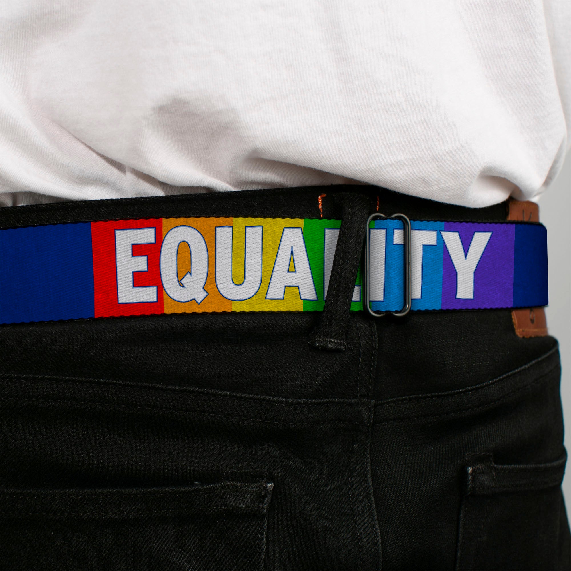 BD Wings Logo CLOSE-UP Black/Silver Seatbelt Belt - EQUALITY Blocks Rainbow/Blue/White Webbing Seatbelt Belts Buckle-Down