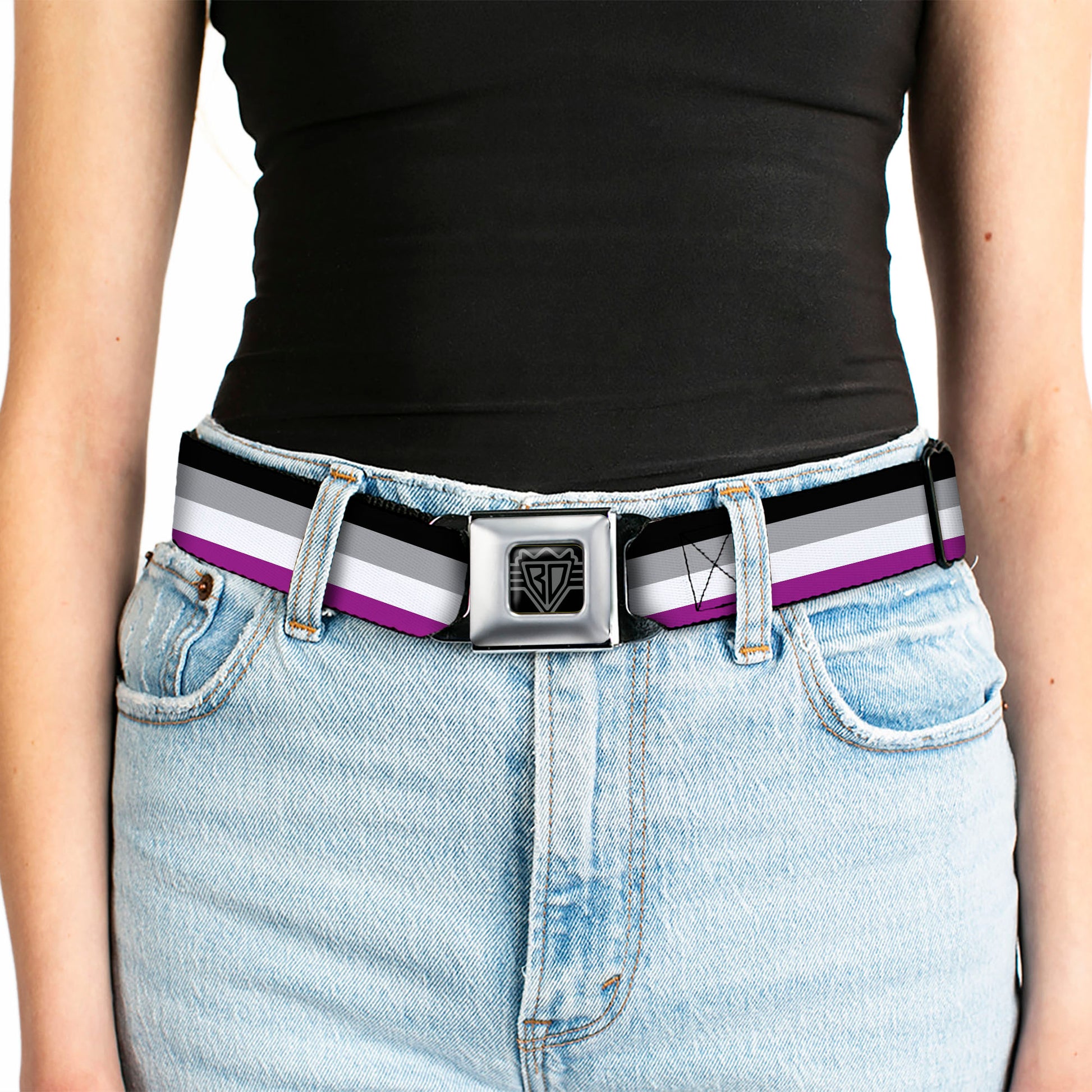 BD Wings Logo CLOSE-UP Full Color Black Silver Seatbelt Belt - Flag Asexual Black/Gray/White/Purple Webbing Seatbelt Belts Buckle-Down