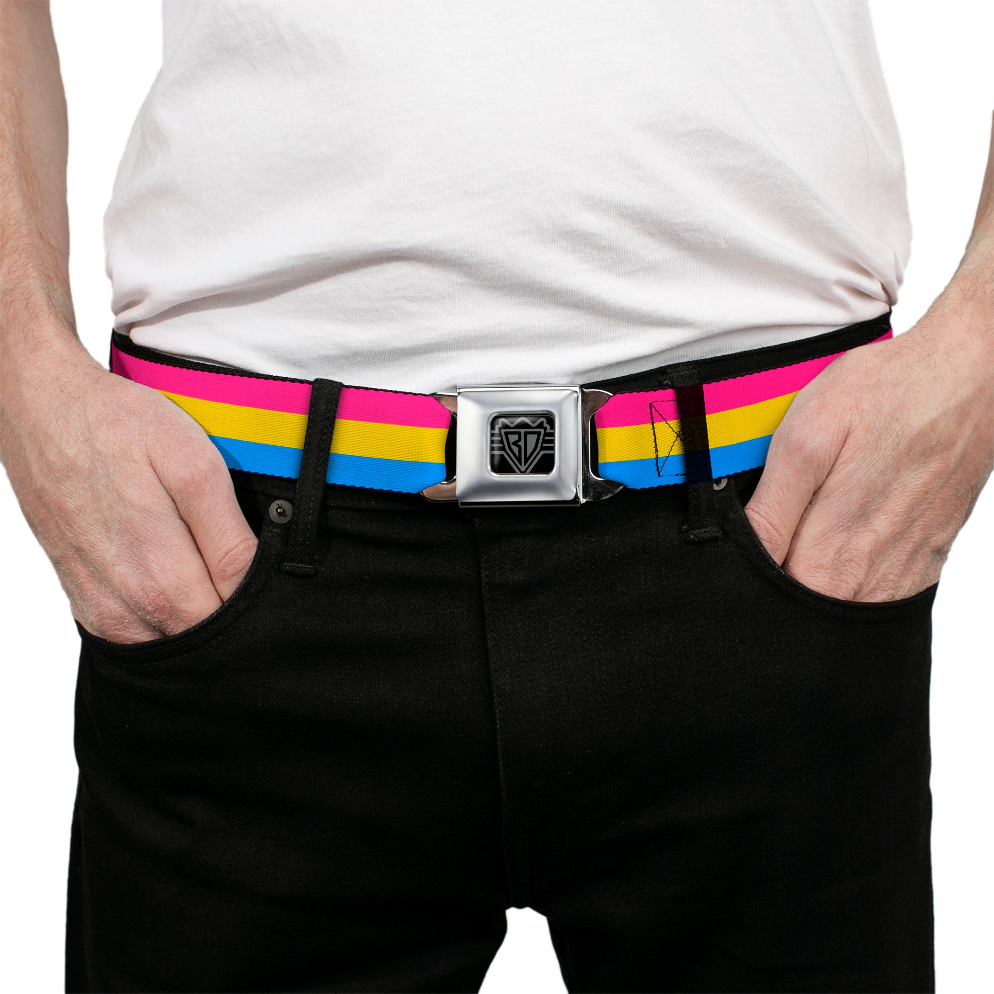 BD Wings Logo CLOSE-UP Full Color Black Silver Seatbelt Belt - Flag Pansexual Pink/Yellow/Blue Webbing Seatbelt Belts Buckle-Down