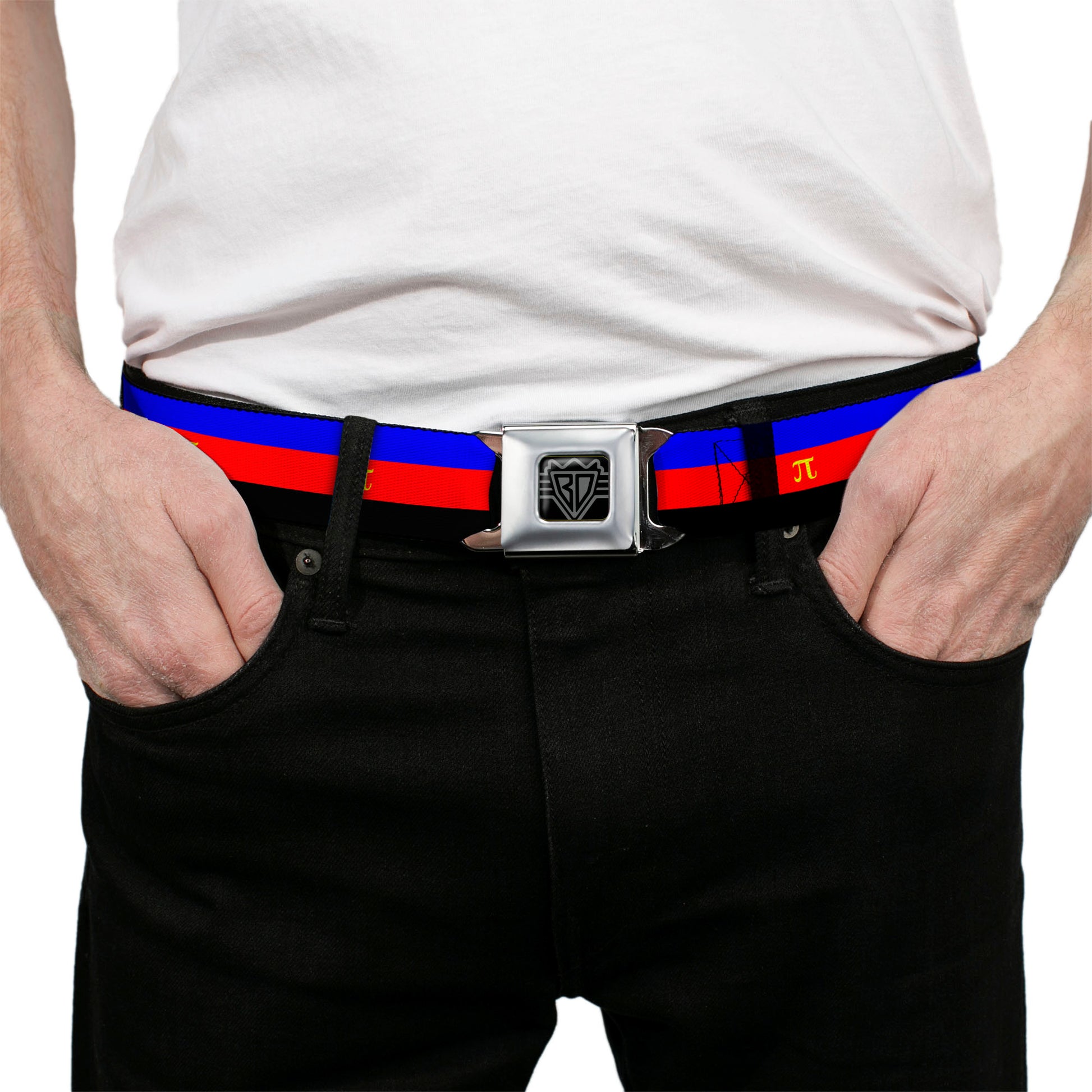 BD Wings Logo CLOSE-UP Full Color Black Silver Seatbelt Belt - Flag Polyamorous Pi Symbol Blue/Red/Black/Yellow Webbing Seatbelt Belts Buckle-Down