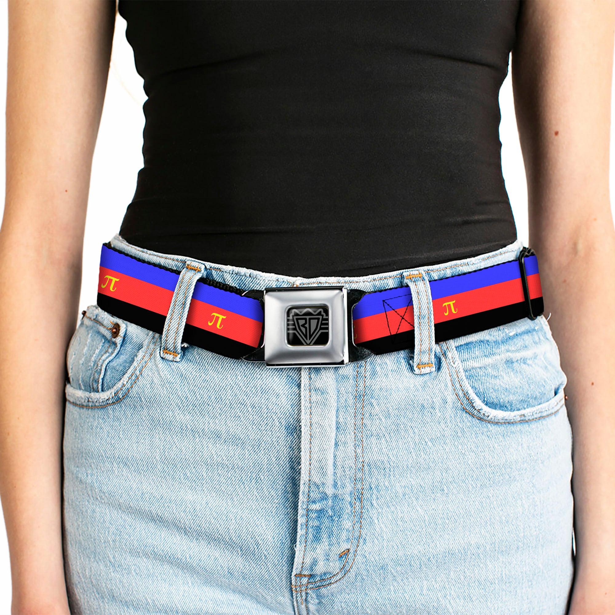BD Wings Logo CLOSE-UP Full Color Black Silver Seatbelt Belt - Flag Polyamorous Pi Symbol Blue/Red/Black/Yellow Webbing Seatbelt Belts Buckle-Down