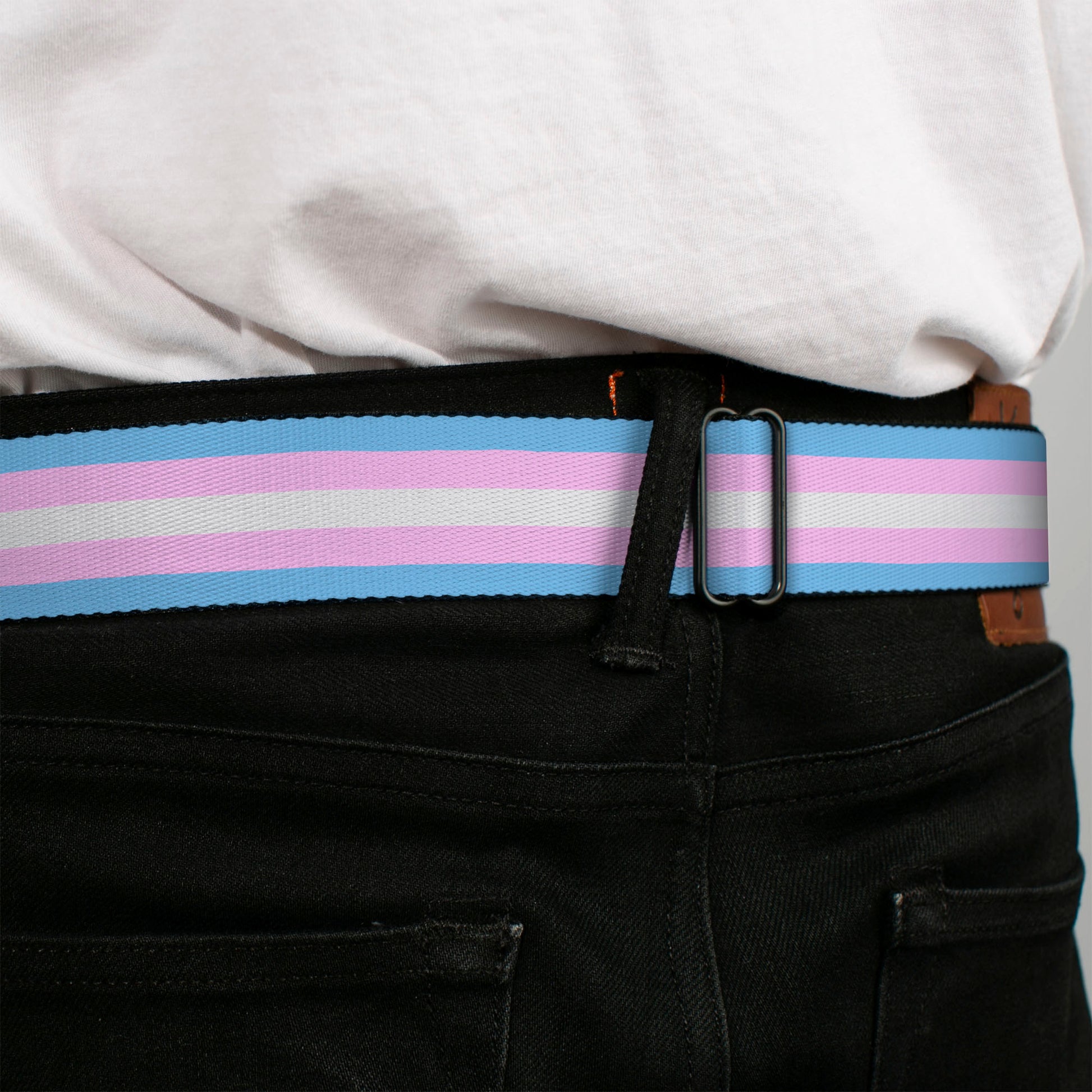 BD Wings Logo CLOSE-UP Full Color Black Silver Seatbelt Belt - Flag Transgender Baby Blue/Baby Pink/White Webbing Seatbelt Belts Buckle-Down
