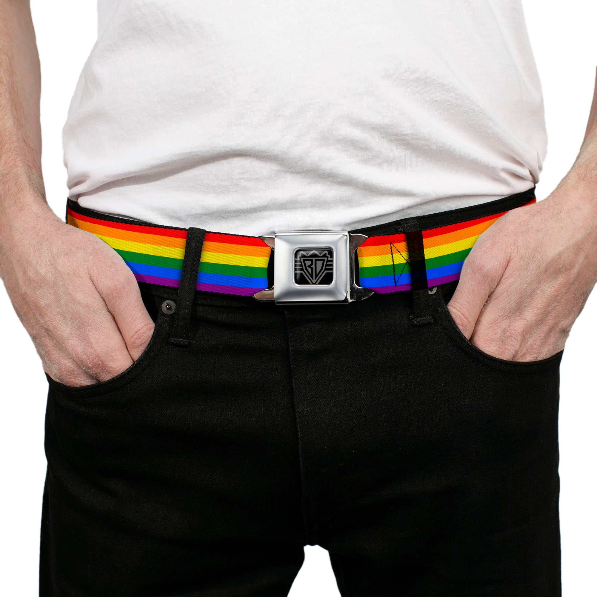 BD Wings Logo CLOSE-UP Full Color Black Silver Seatbelt Belt - Flag Pride Rainbow Webbing Seatbelt Belts Buckle-Down