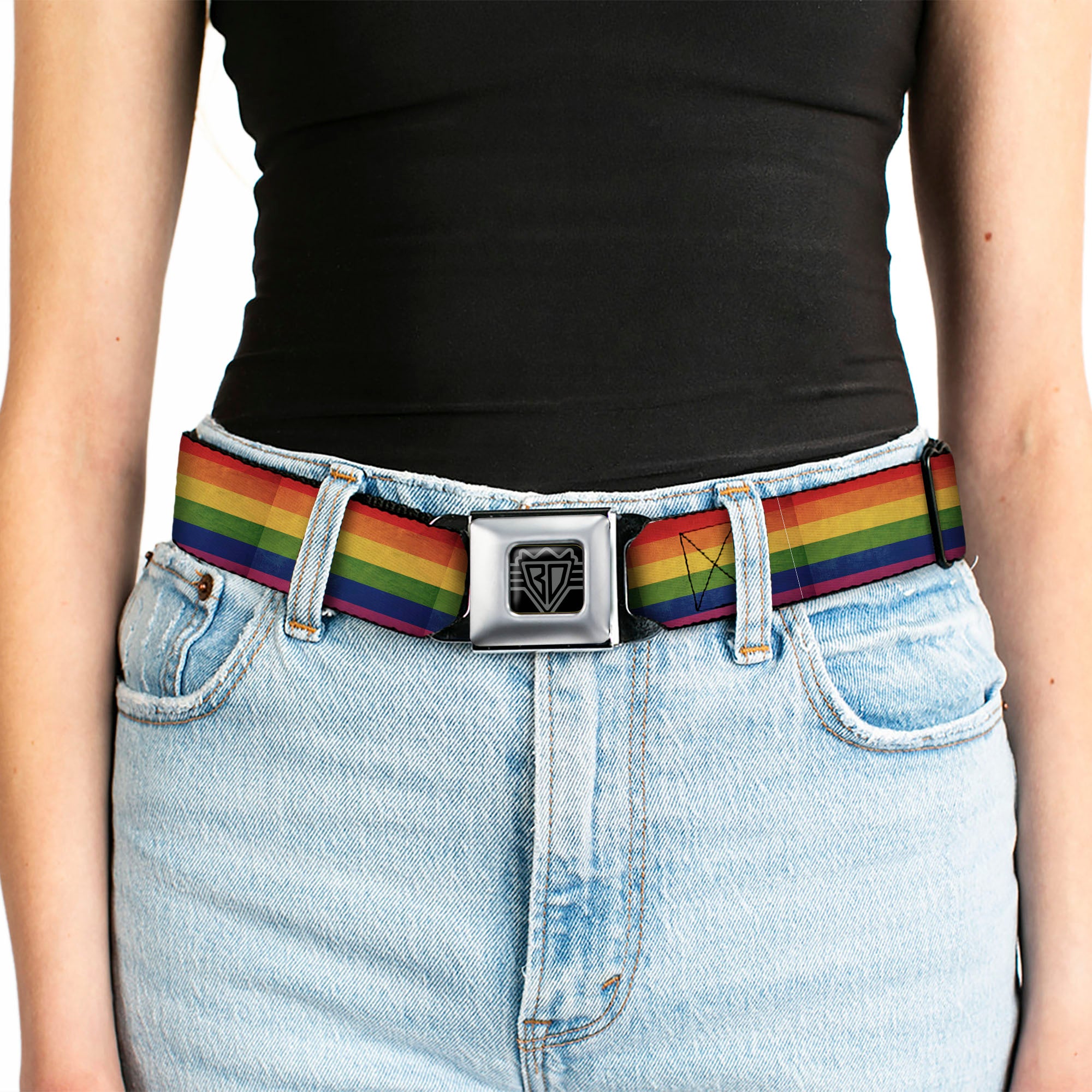 BD Wings Logo CLOSE-UP Full Color Black Silver Seatbelt Belt - Flag Pride Distressed Rainbow Webbing Seatbelt Belts Buckle-Down